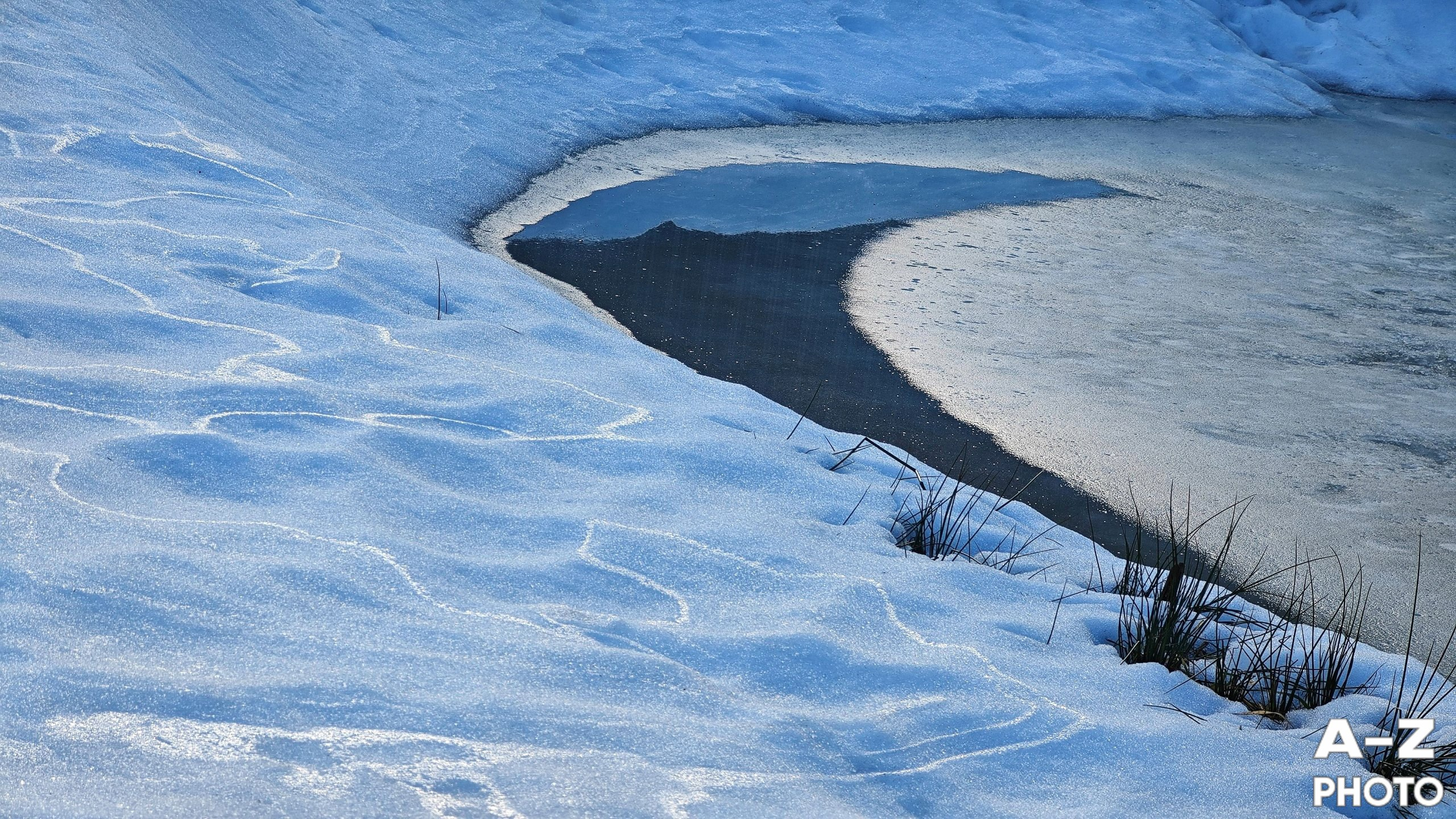 #ФОТОНЕДЕЛИ 06.04.2026. Женский семейный фотограф Тула Москва Захарова Анна