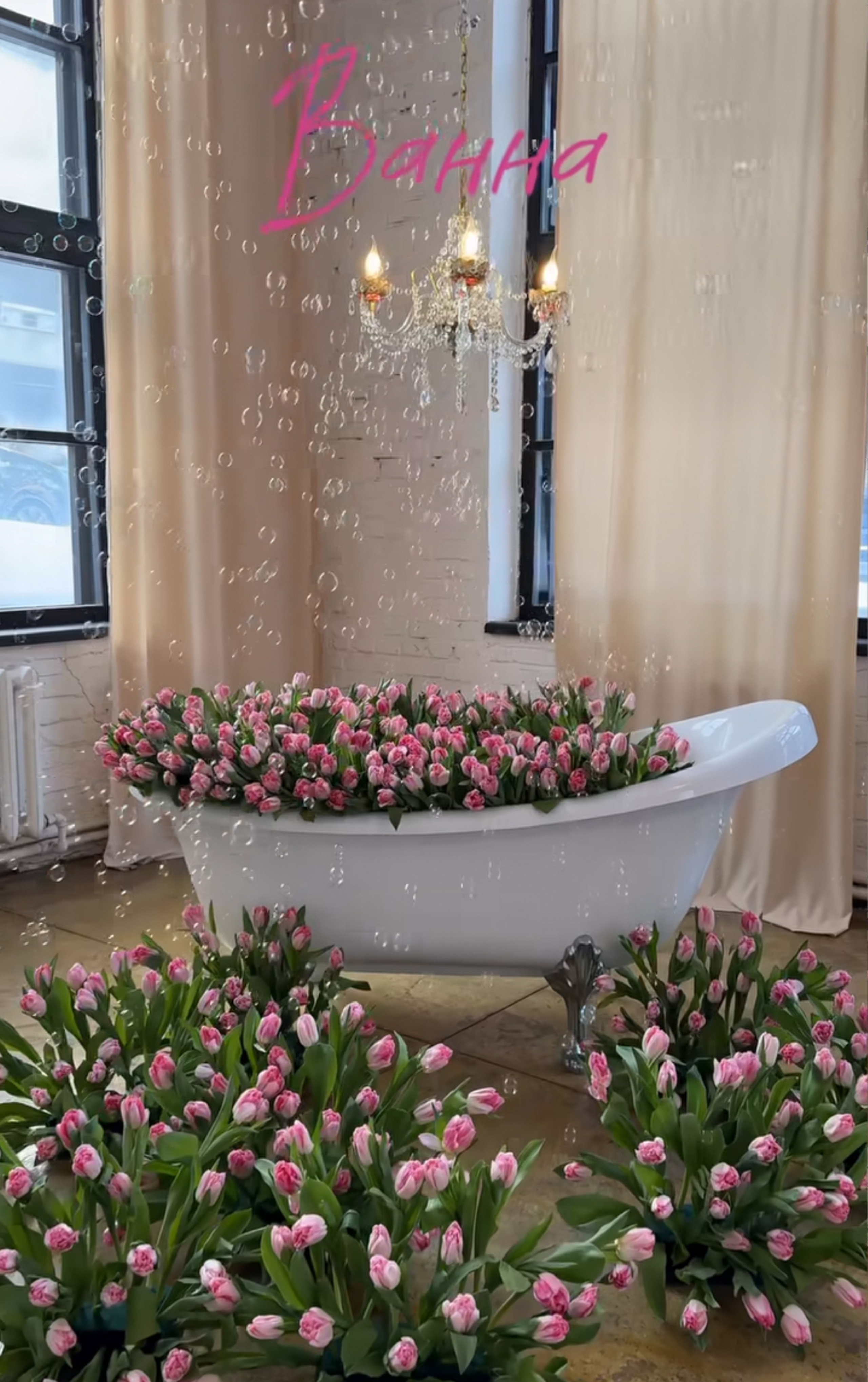 РАСПИСАНИЕ БЛИЖАЙШИХ СЪЕМОК. Детский и семейный фотограф Александра Грекова