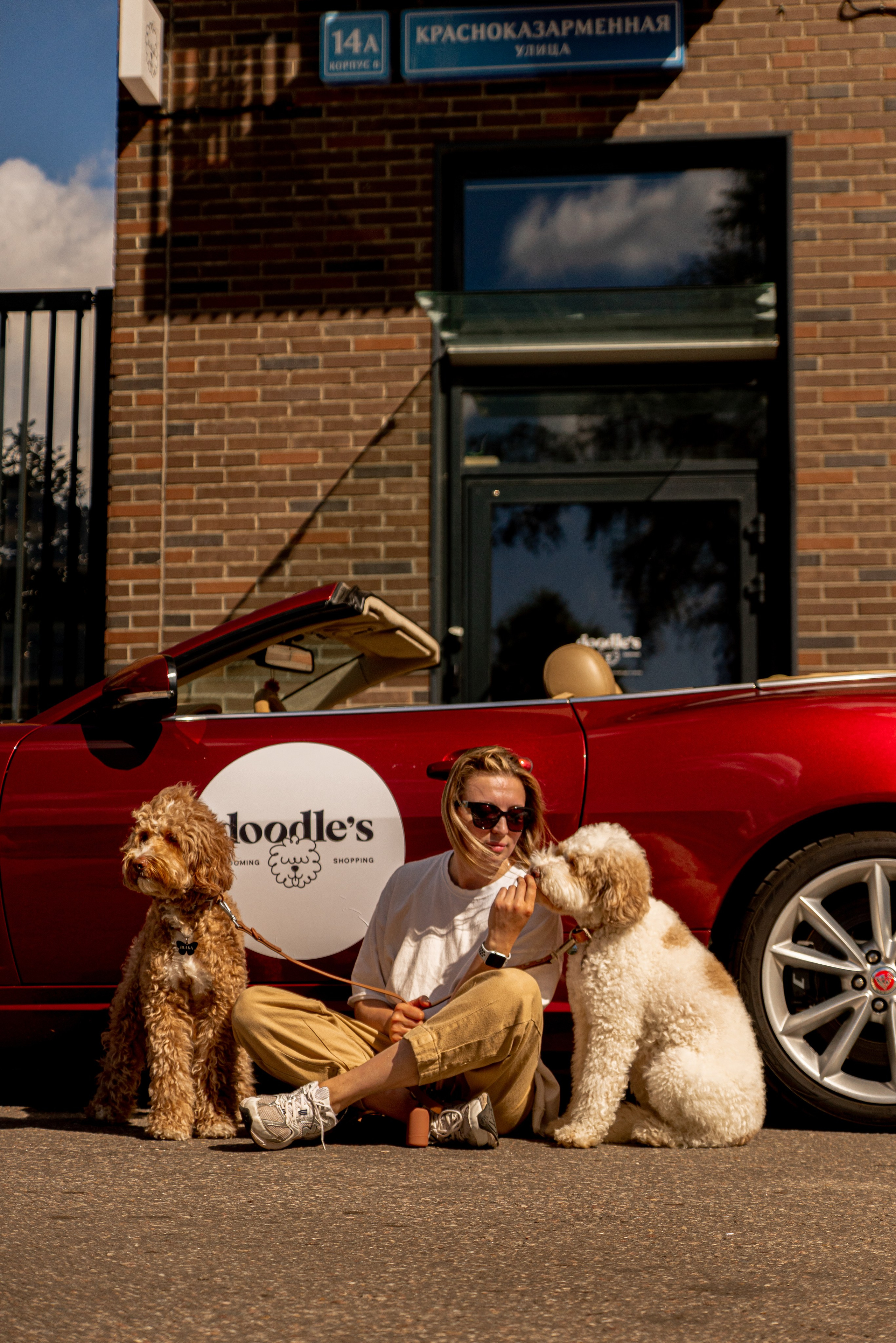 Фотосъемка груминг салона , съемка собак в кабриолете. Жуков Илья свадебный фотограф в Москве