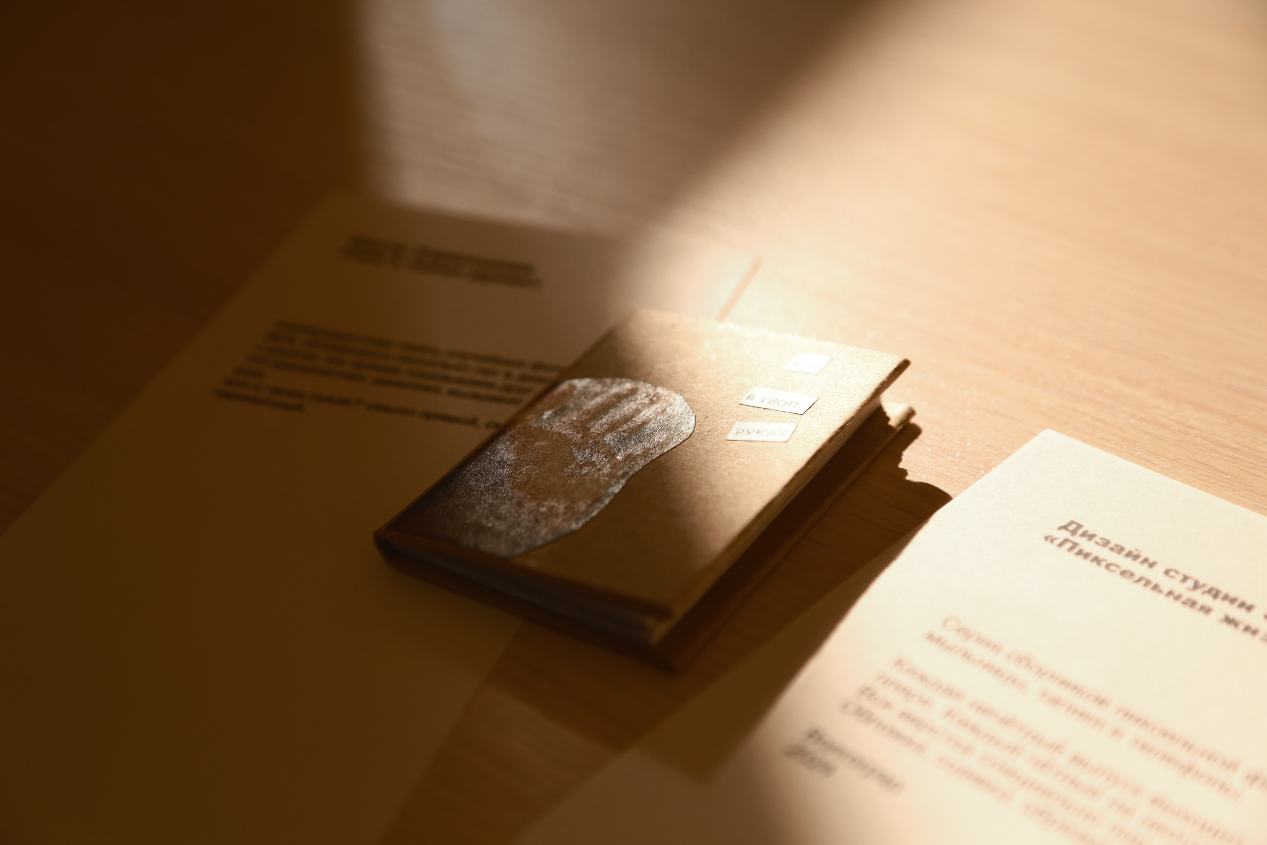 «Жердёла», зин-фестиваль, 24–25 мая, музей-библиотека Н. Ф. Фёдорова, Москва. Лера Круглова