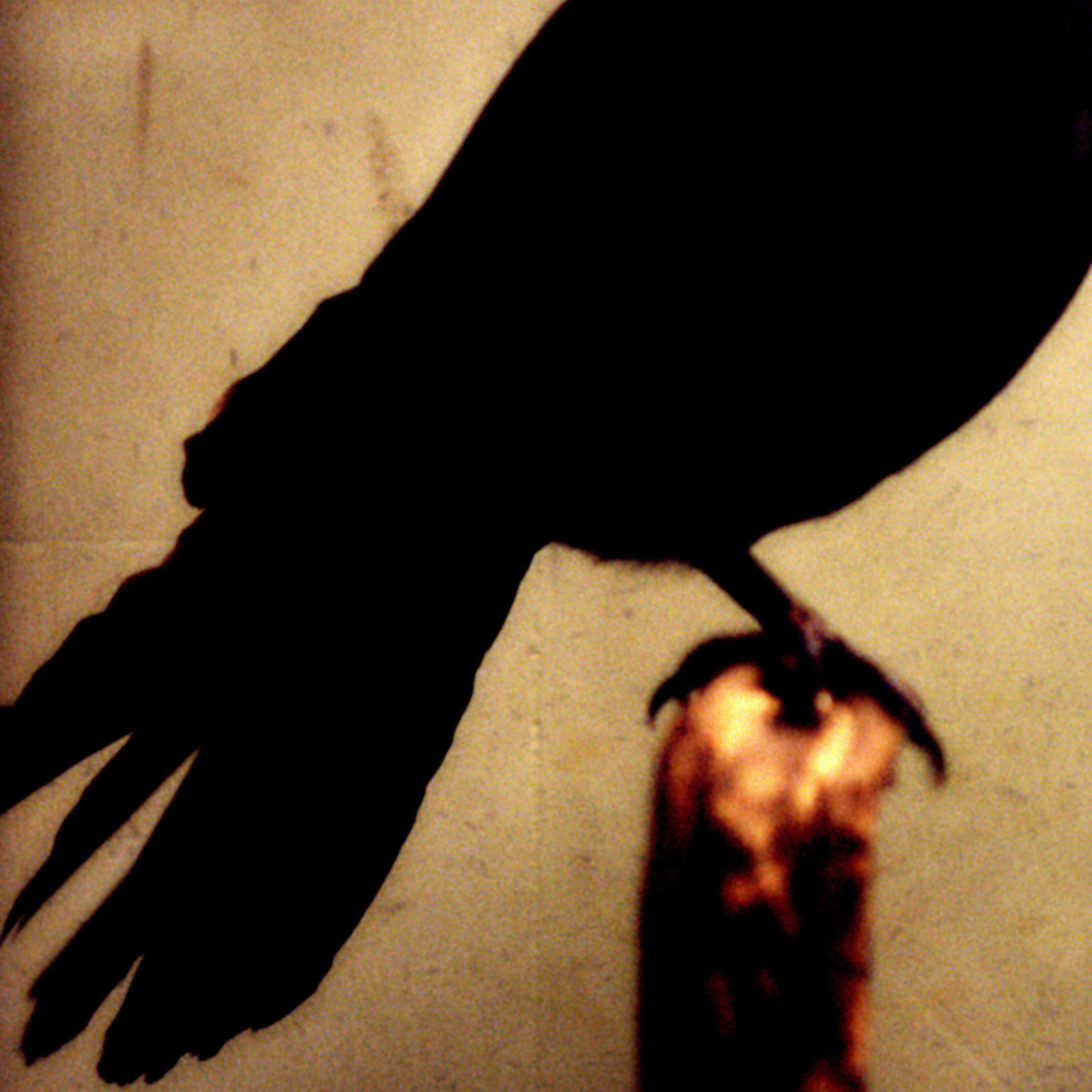 Пьюти-фьют. Игорь Скабелин