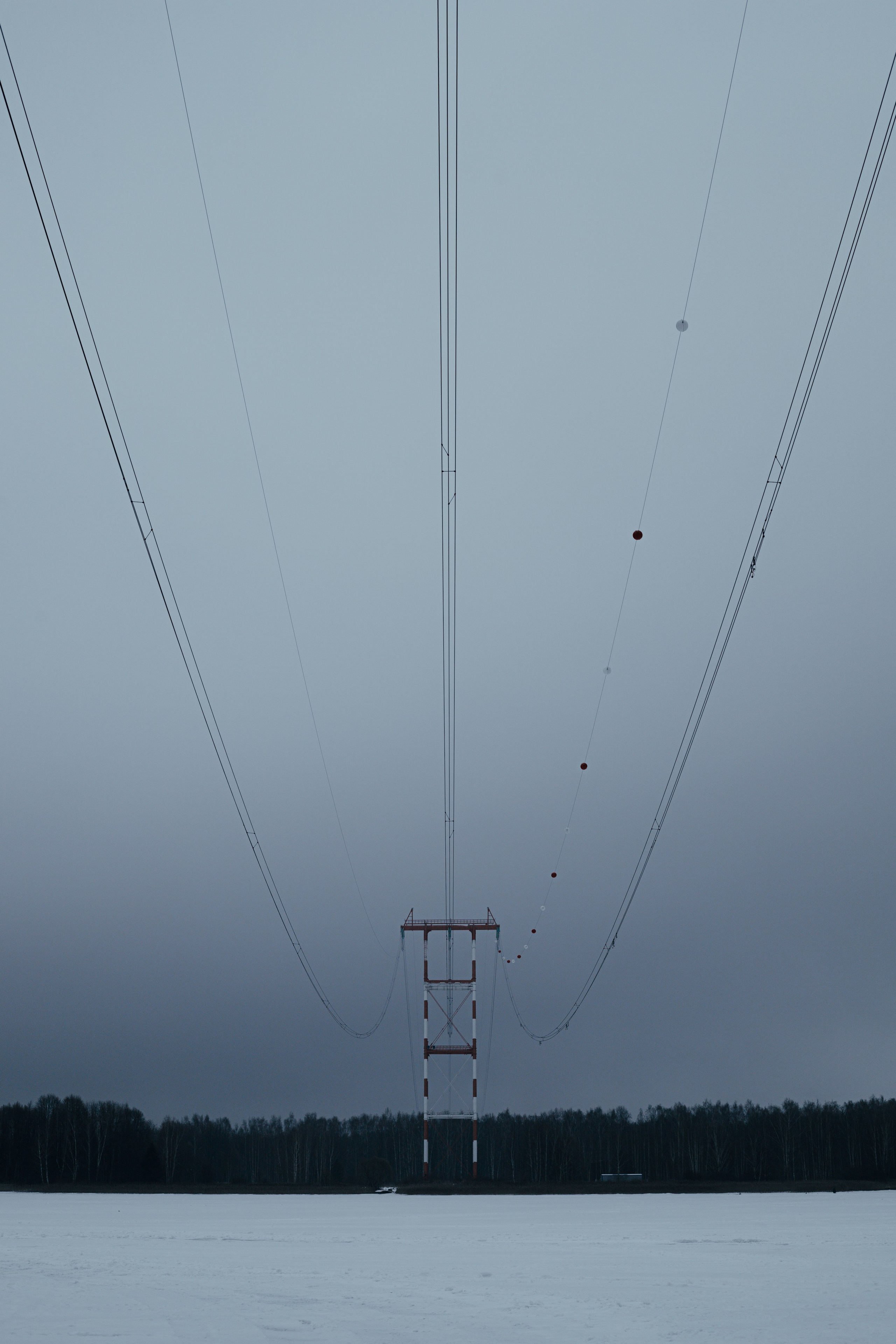 Постеры. Roycoreroy