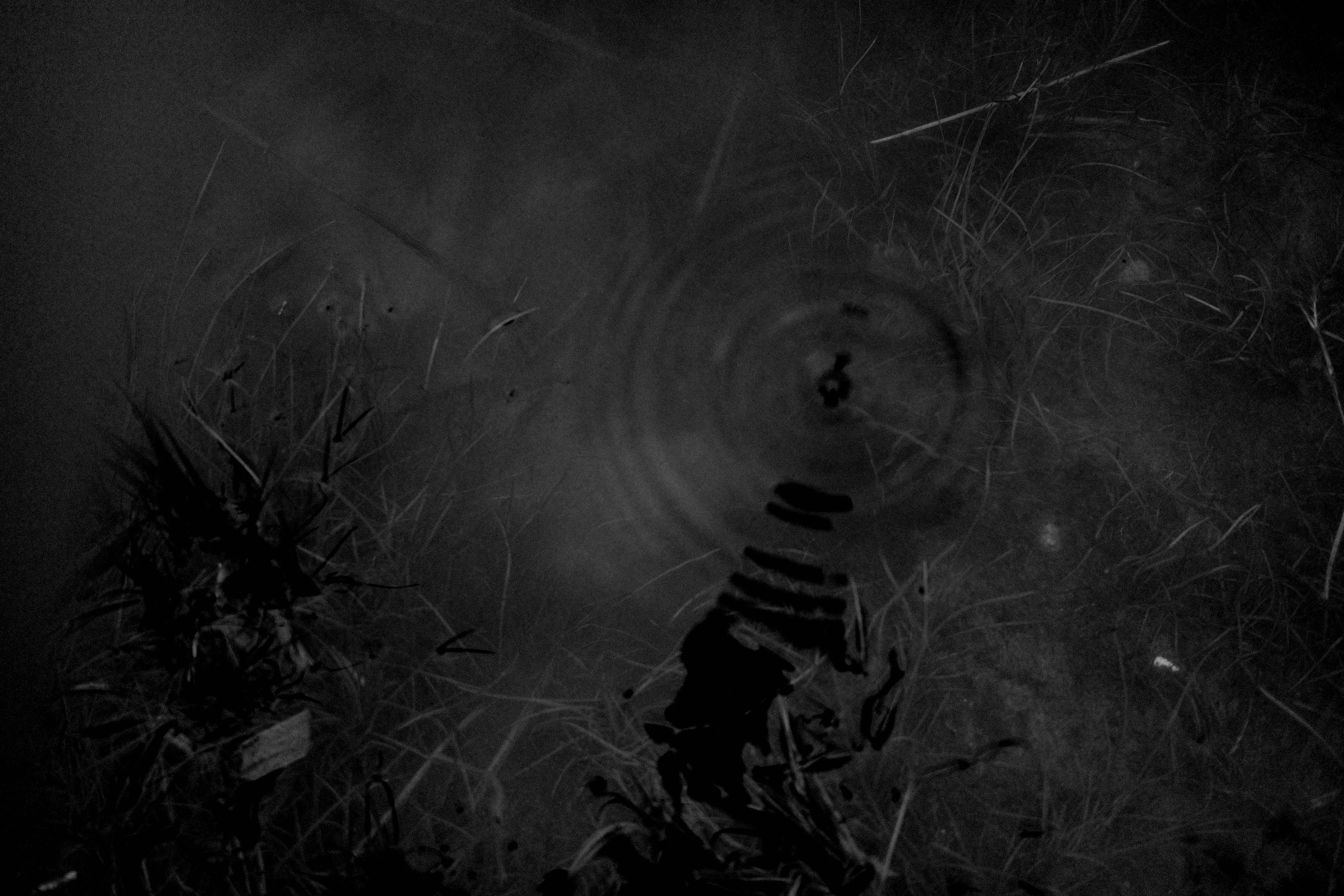 Круг жизни. Главная