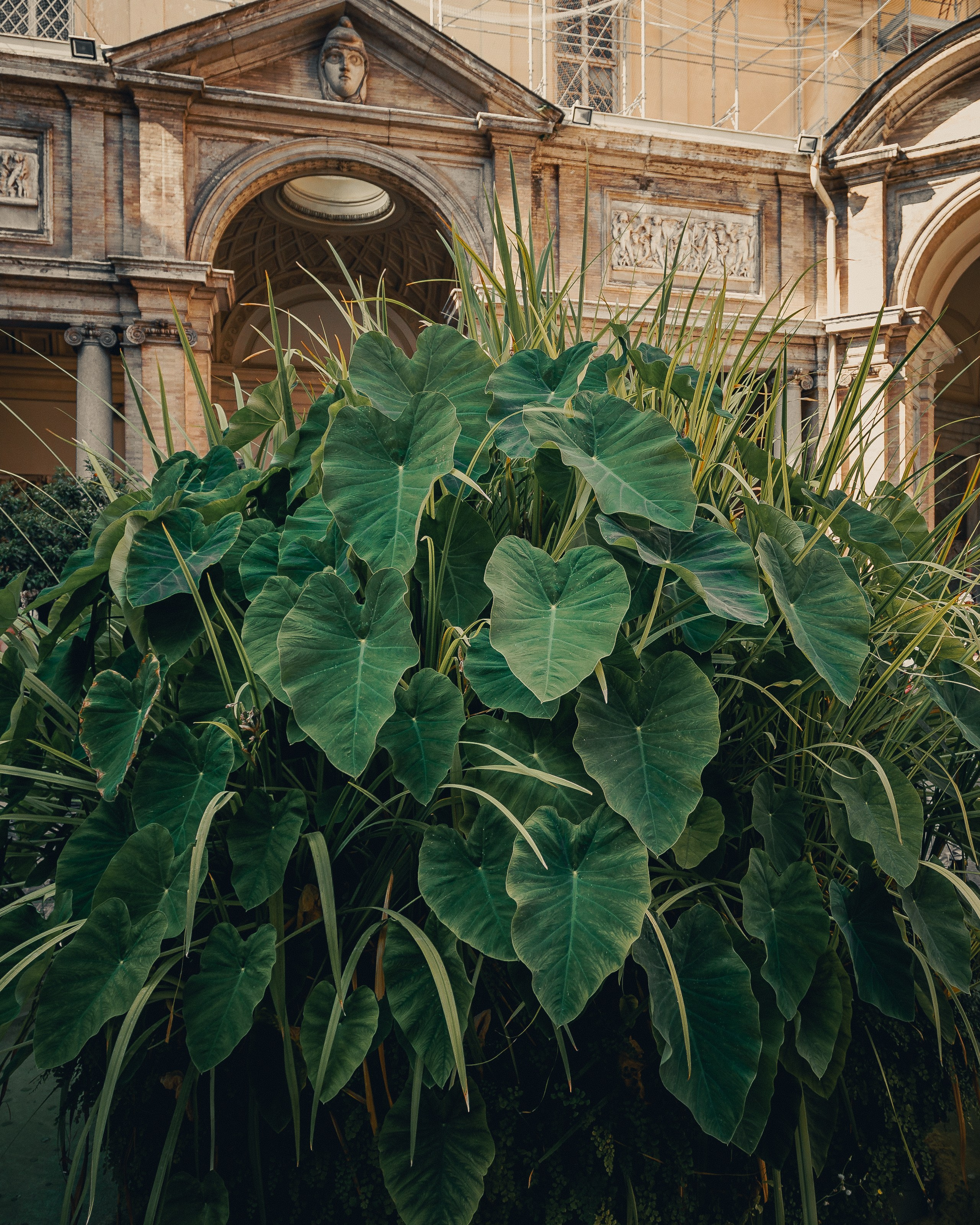 Италия, Ватикан. Фотошкола ArtFotoLife для начинающих и продвинутых фотографов