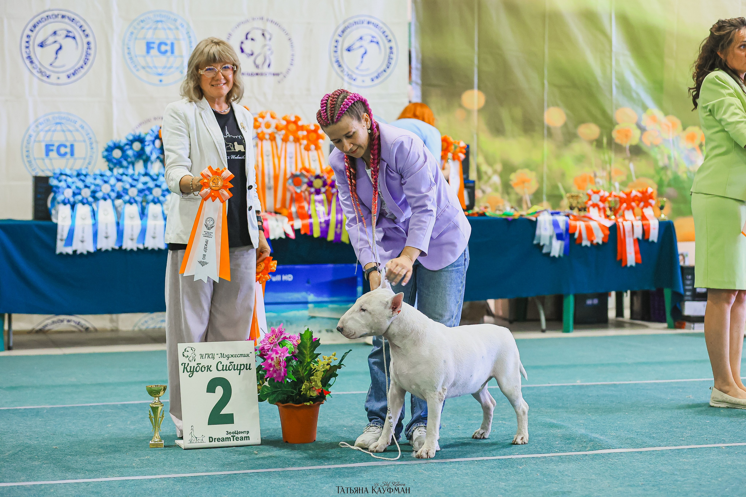 13.07.25 2х выставки собак. Новосибирск. «Кубок Сибири»