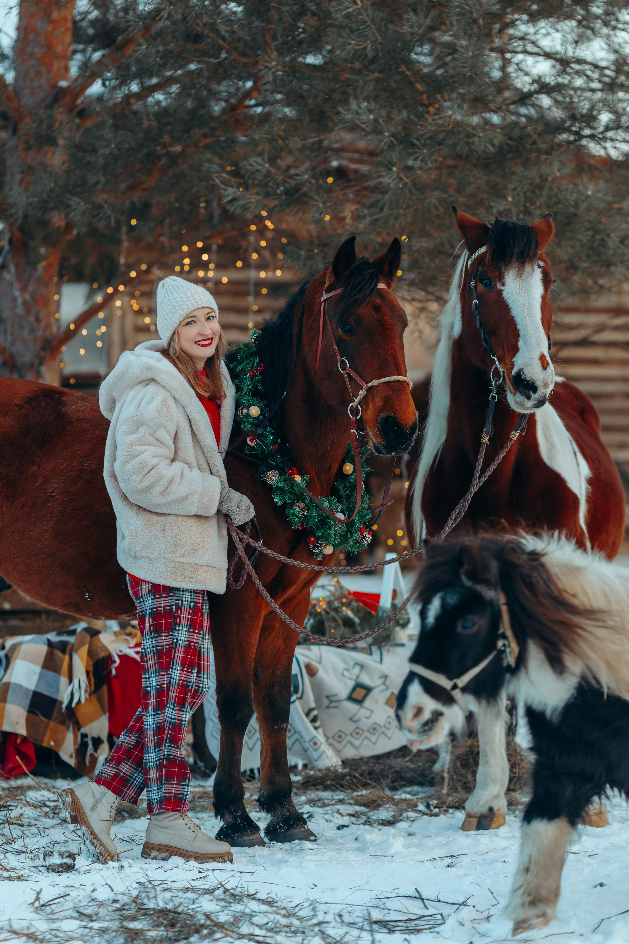 Тариф новогодний 2024. Анна Молчанова конный фотограф в Тюмени | фотосессии с лошадьми Тюмень