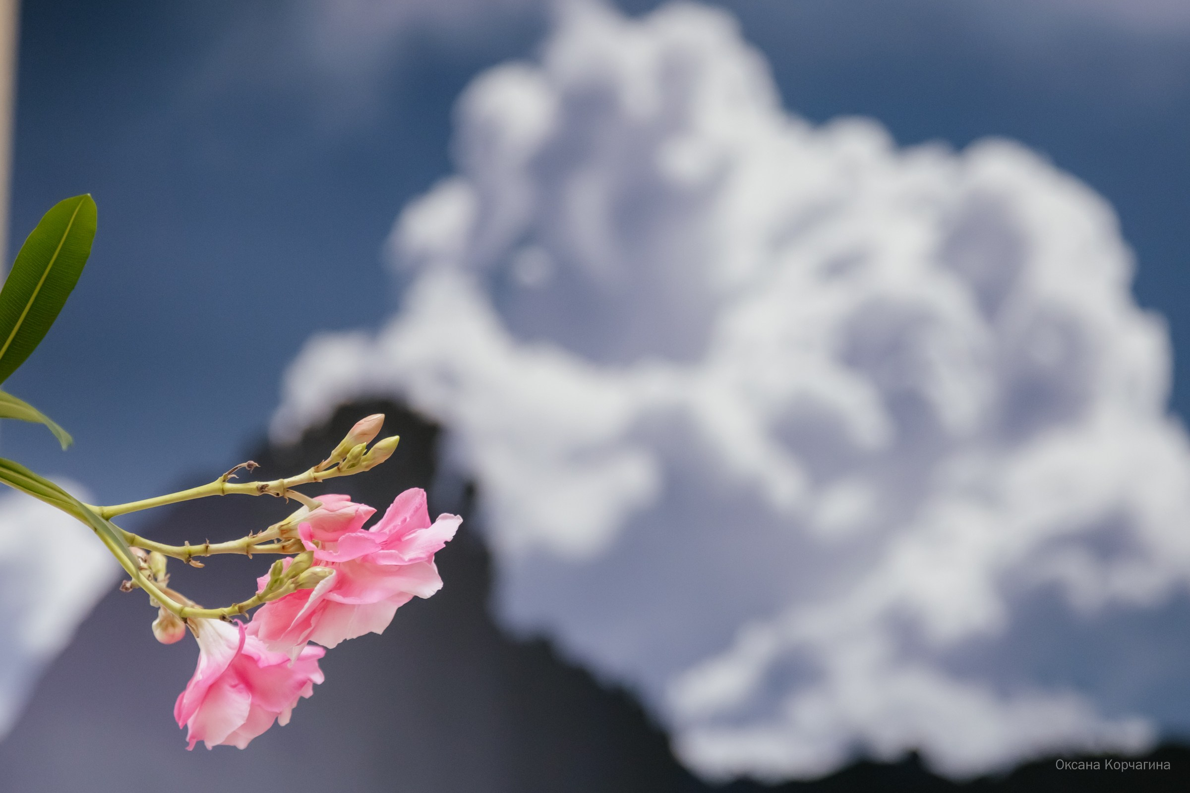 Выставка «К излогам гор душа влекома… Ергаки. Образы. Волошин». Фотограф в Красноярске Оксана Корчагина