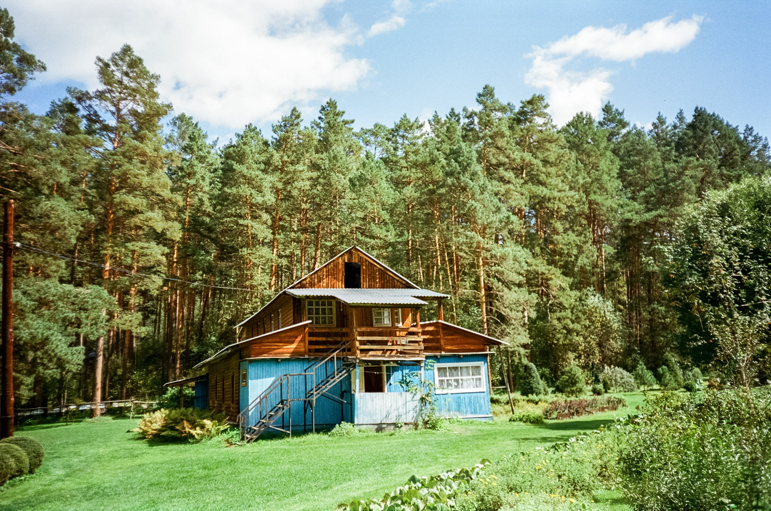 Ботанический сад в солнечный день. Фотограф-документалист Мария Осокина