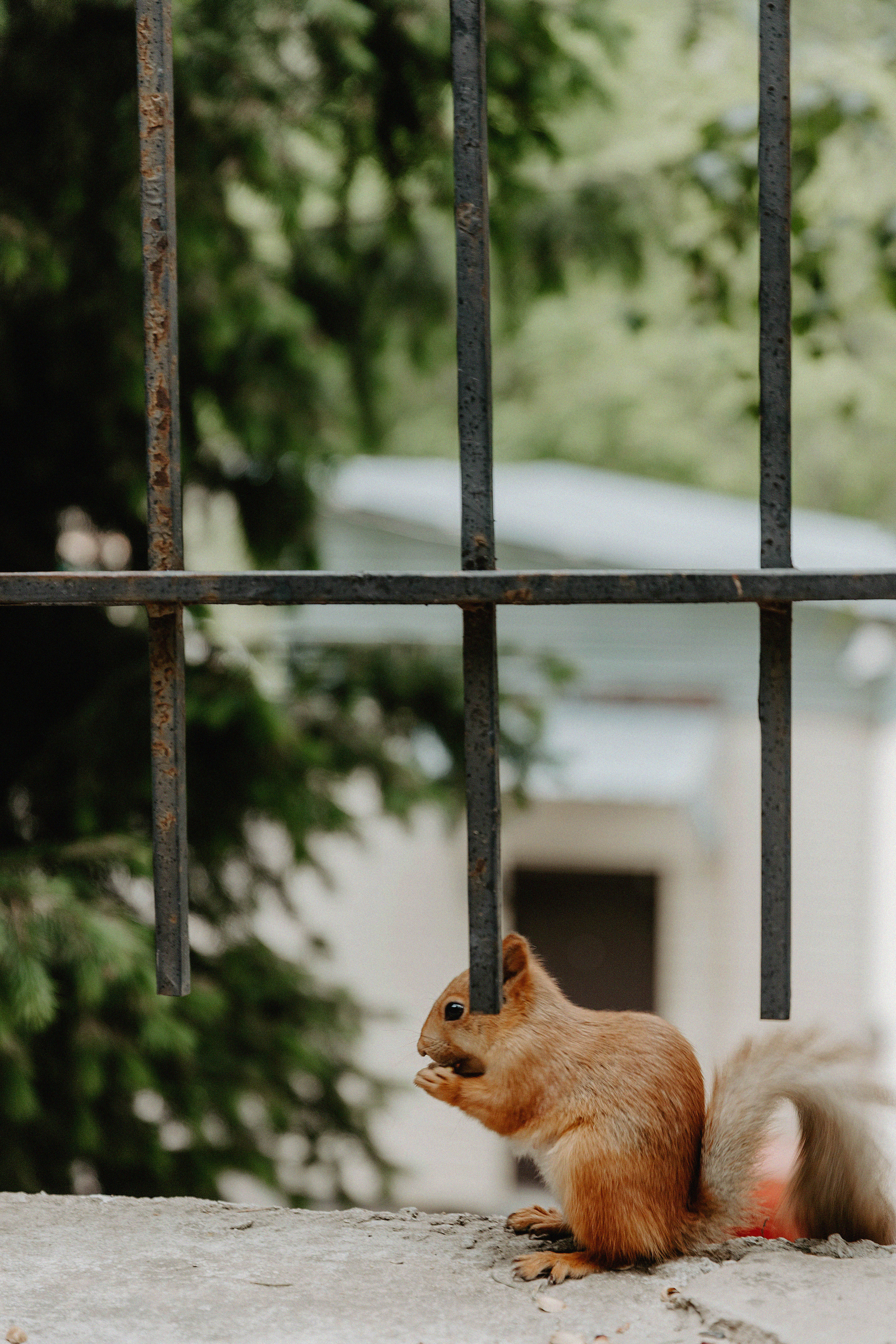 Brave Team. Свадебный, семейный и портретный фотограф в Алматы, Костанай