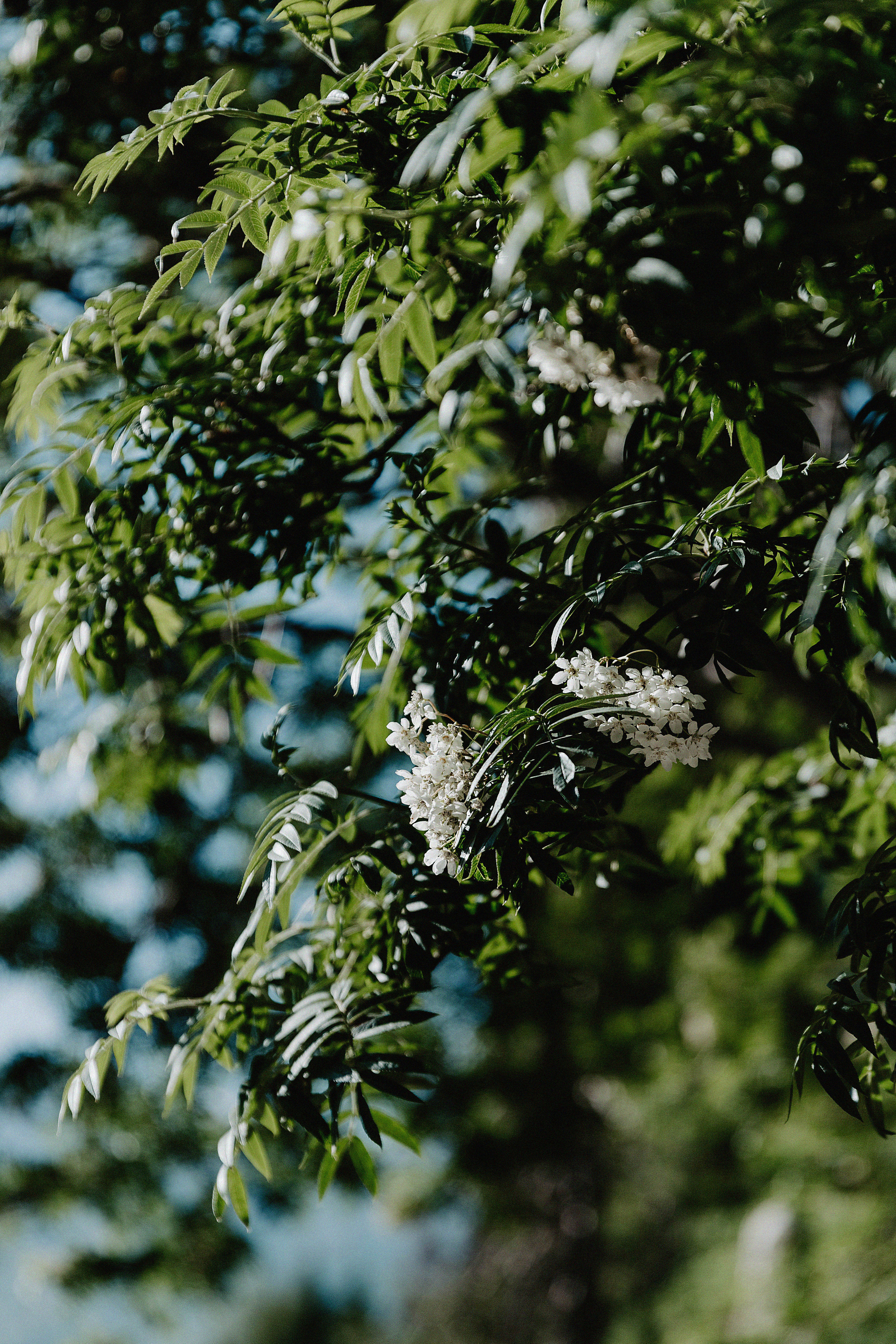 Brave Team. Свадебный, семейный и портретный фотограф в Алматы, Костанай