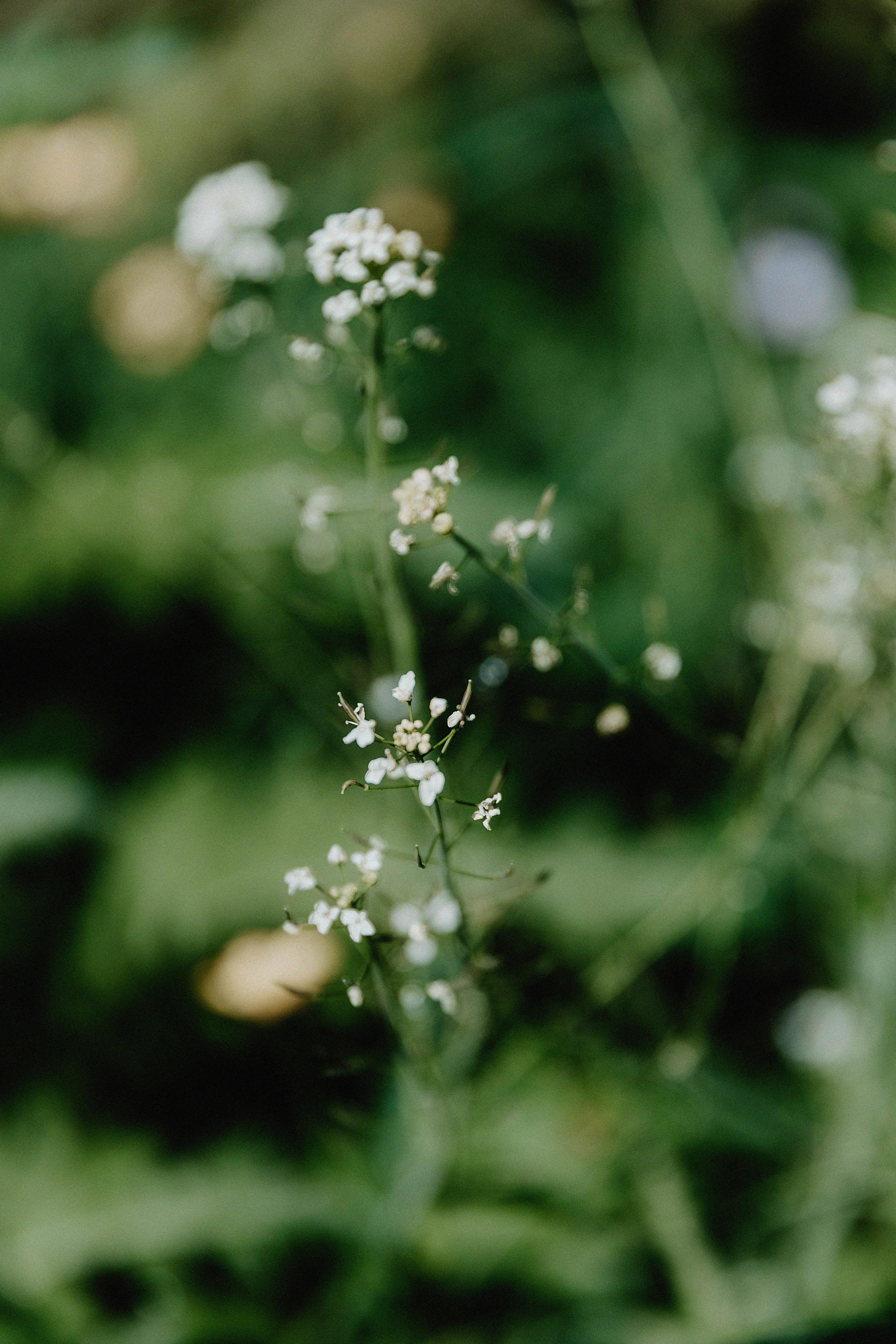 Brave Team. Свадебный, семейный и портретный фотограф в Алматы, Костанай