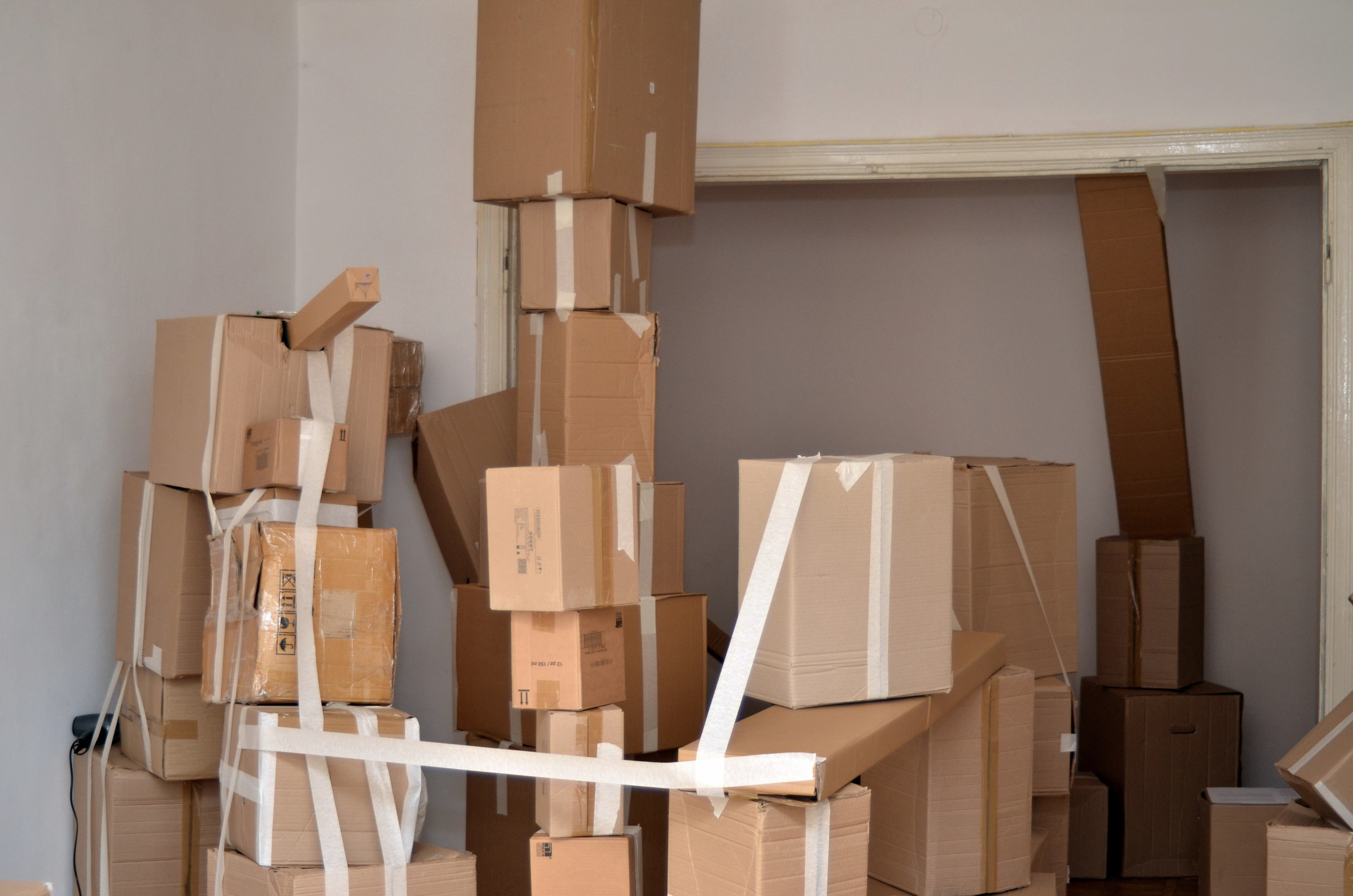 2024 performans “boxes”. Home