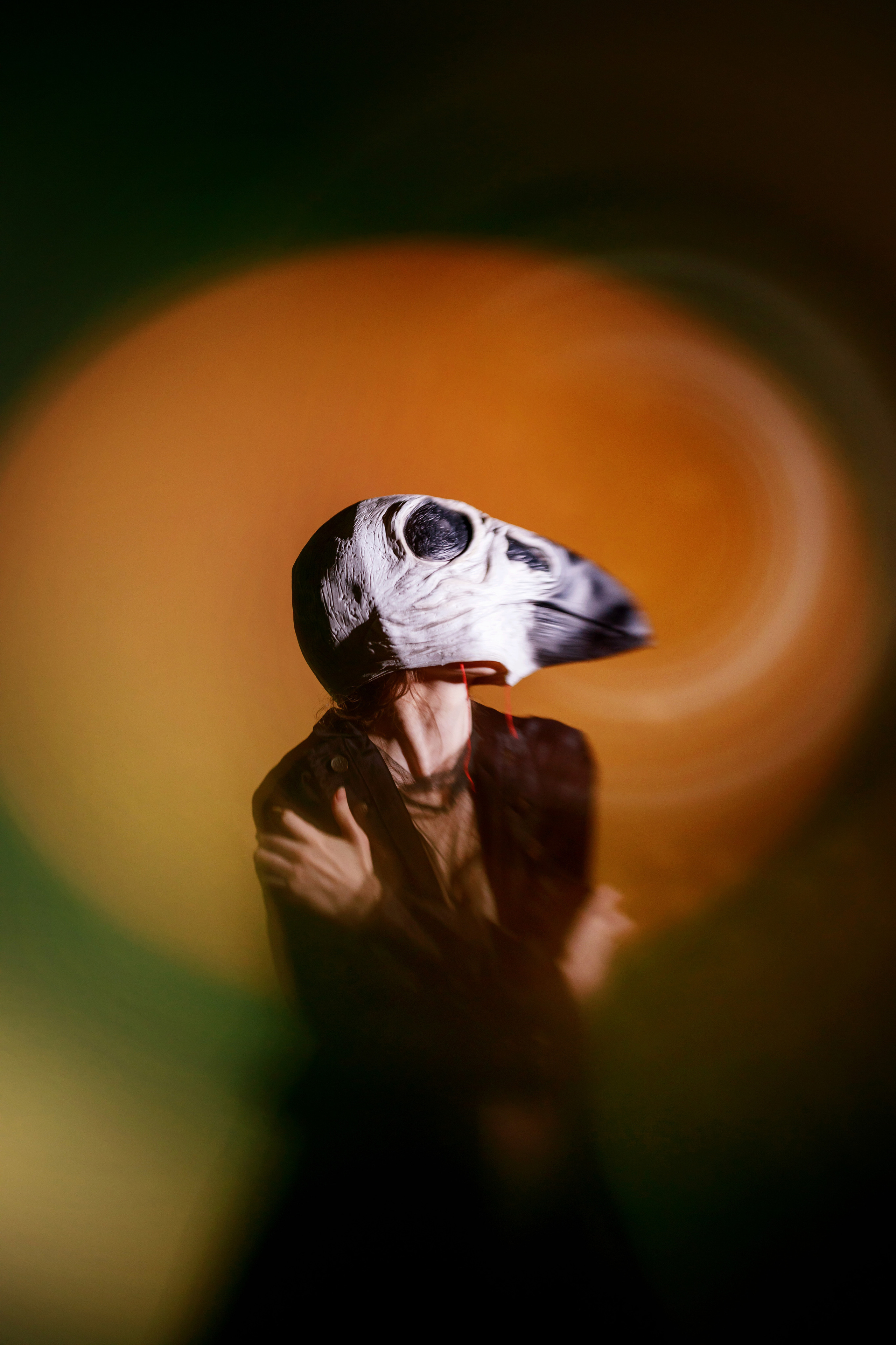 Птичка. Фотокоуч Катерина Каледина