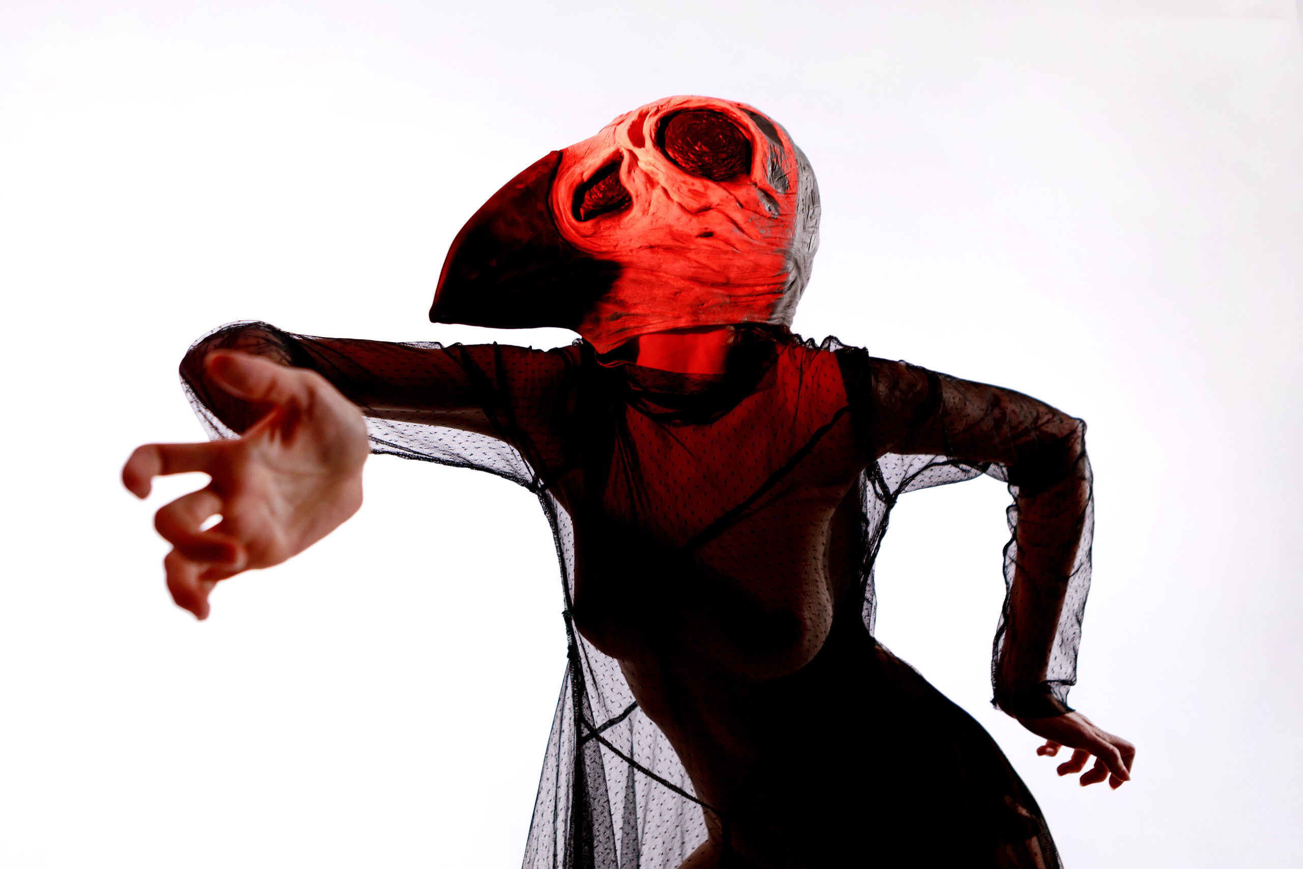 Птичка. Фотокоуч Катерина Каледина