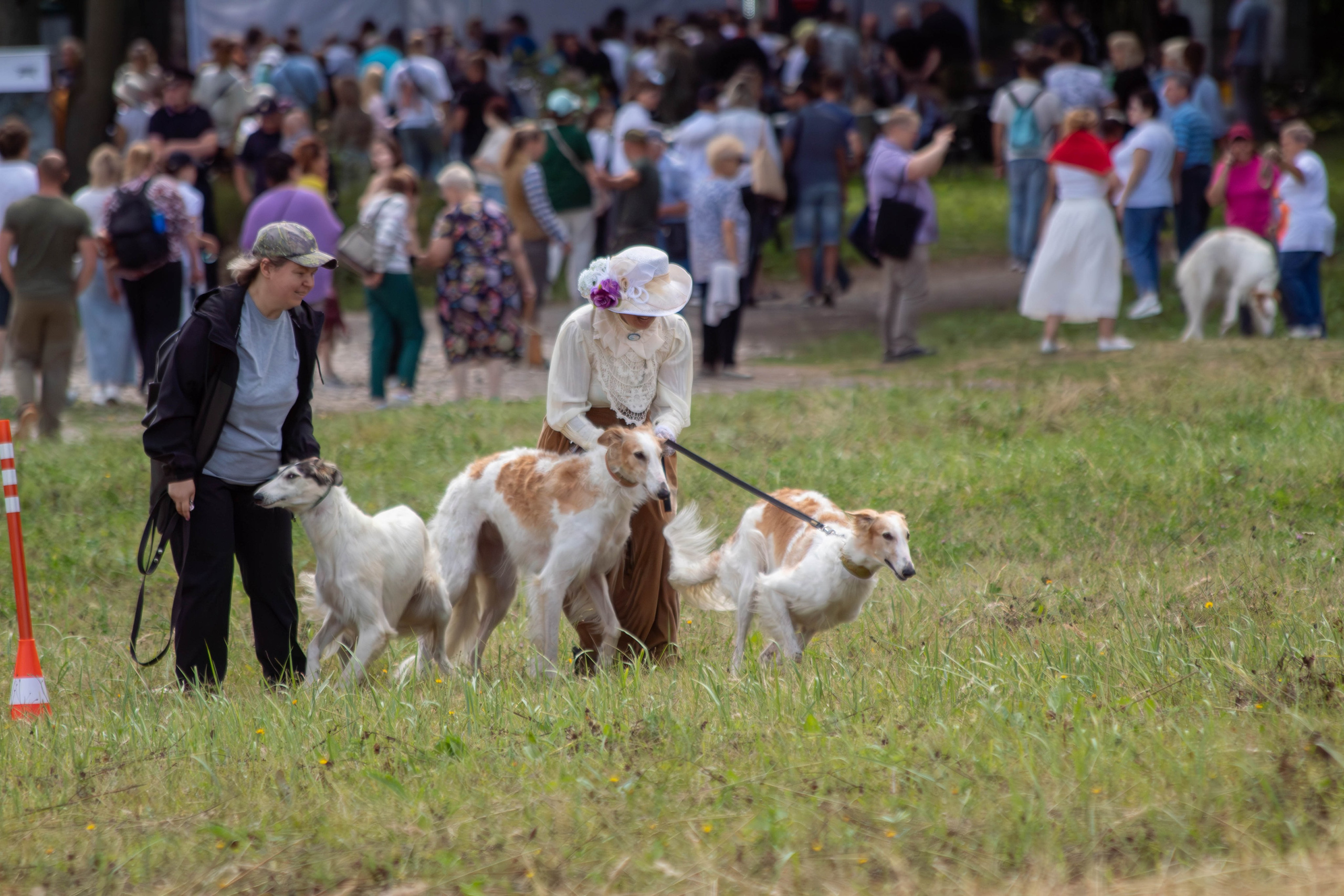 Охота как искусство Ясная поляна. Фотограф анималист — Тула, Москва
