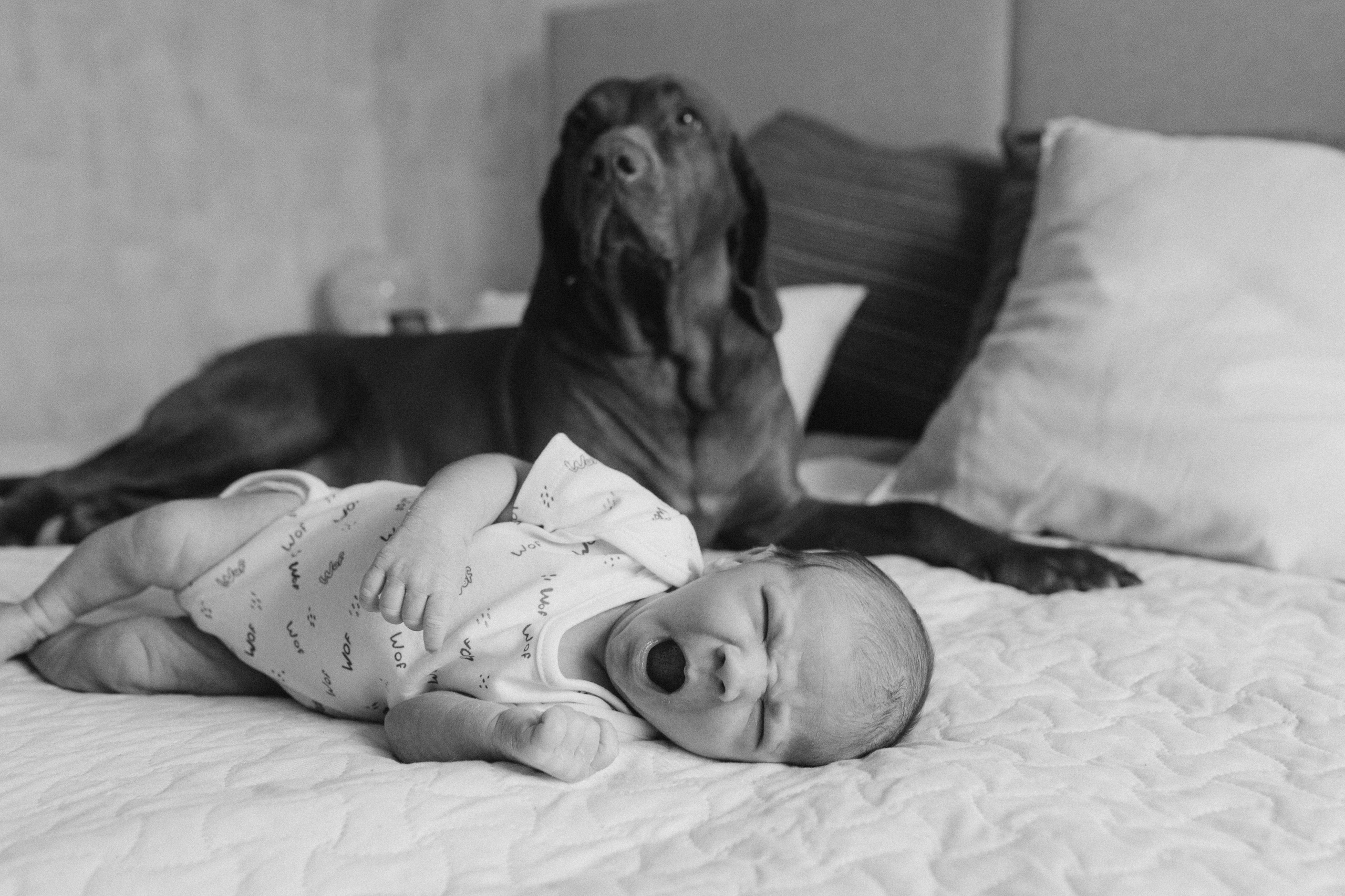 Домашняя фотосессия. Алёна Берёзка фотограф Минск