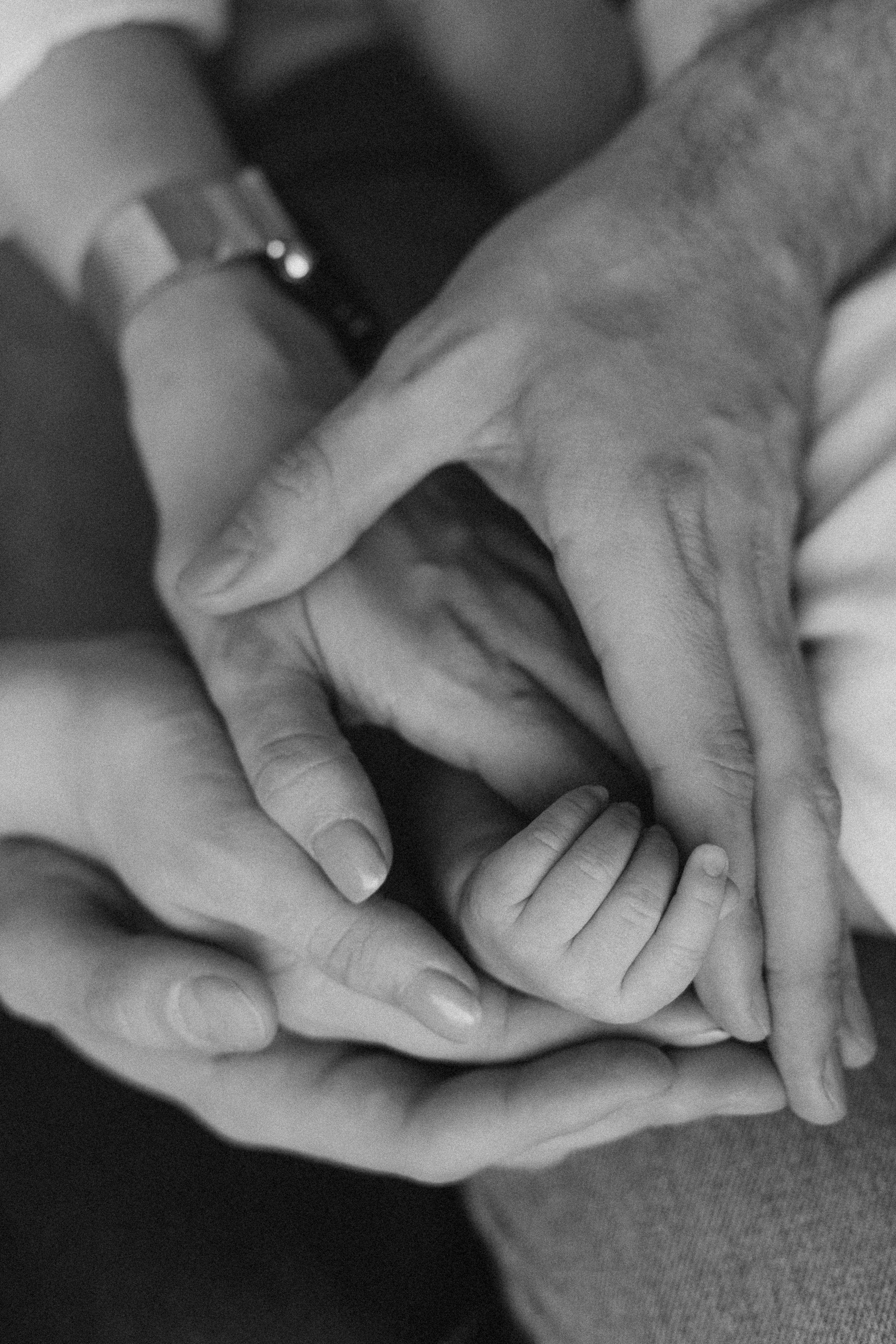 Домашняя фотосессия. Алёна Берёзка фотограф Минск