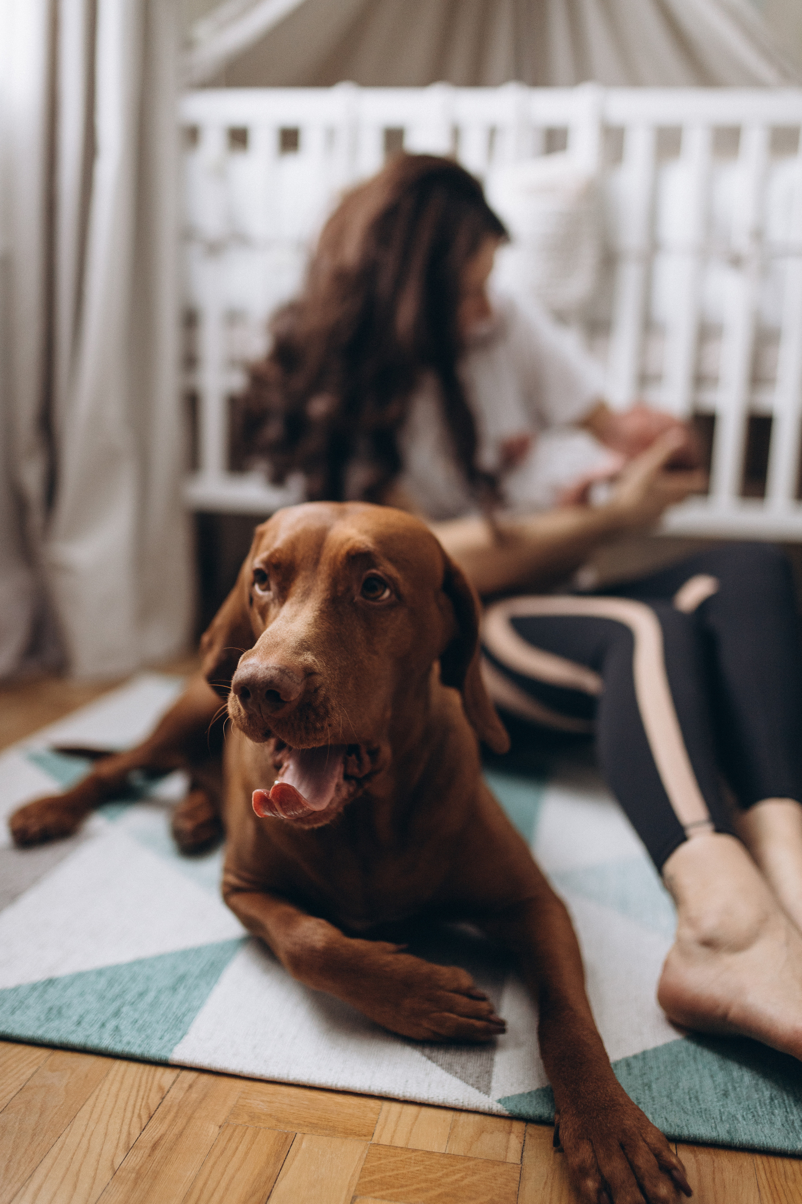 Домашняя фотосессия. Алёна Берёзка фотограф Минск