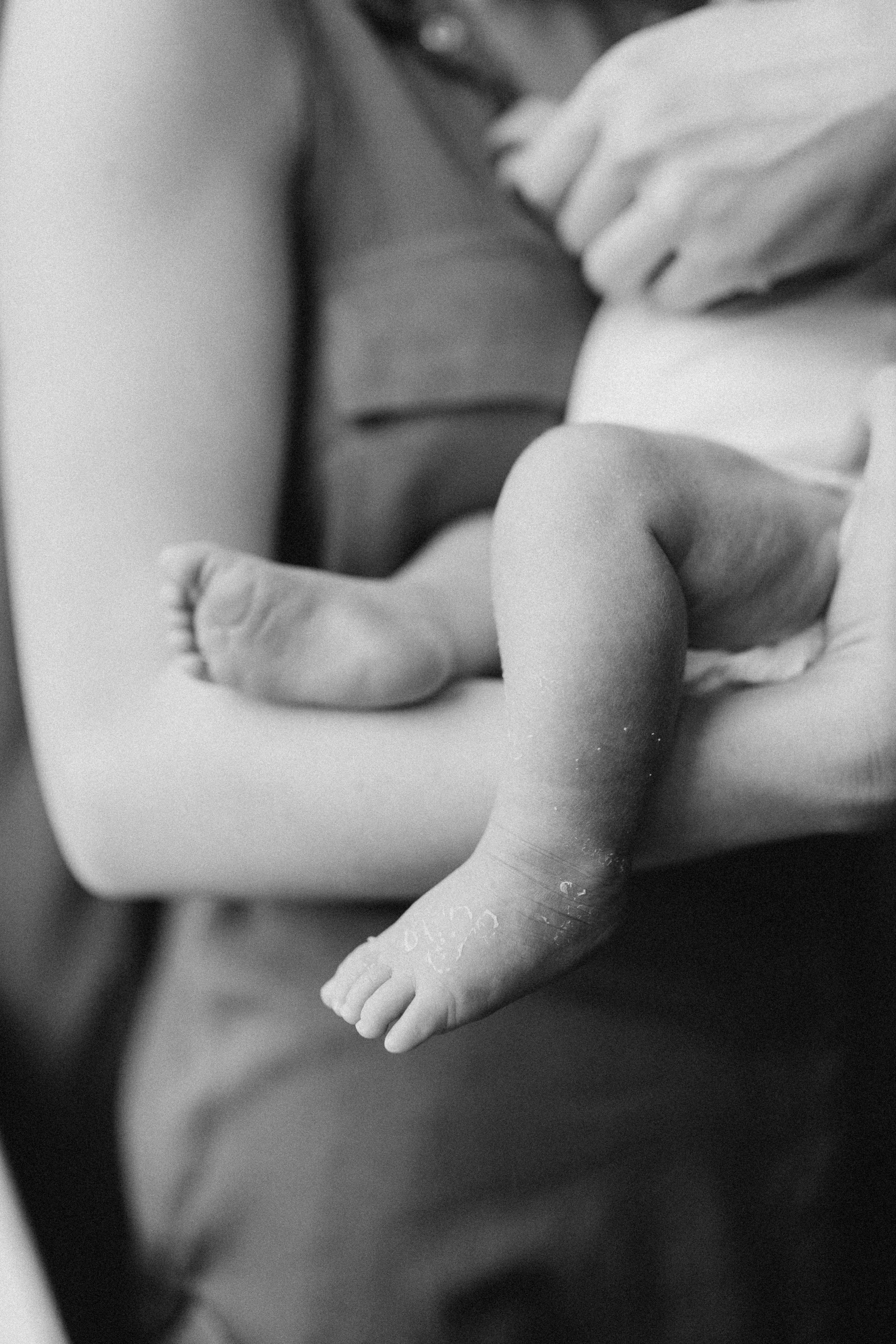 Домашняя фотосессия. Алёна Берёзка фотограф Минск