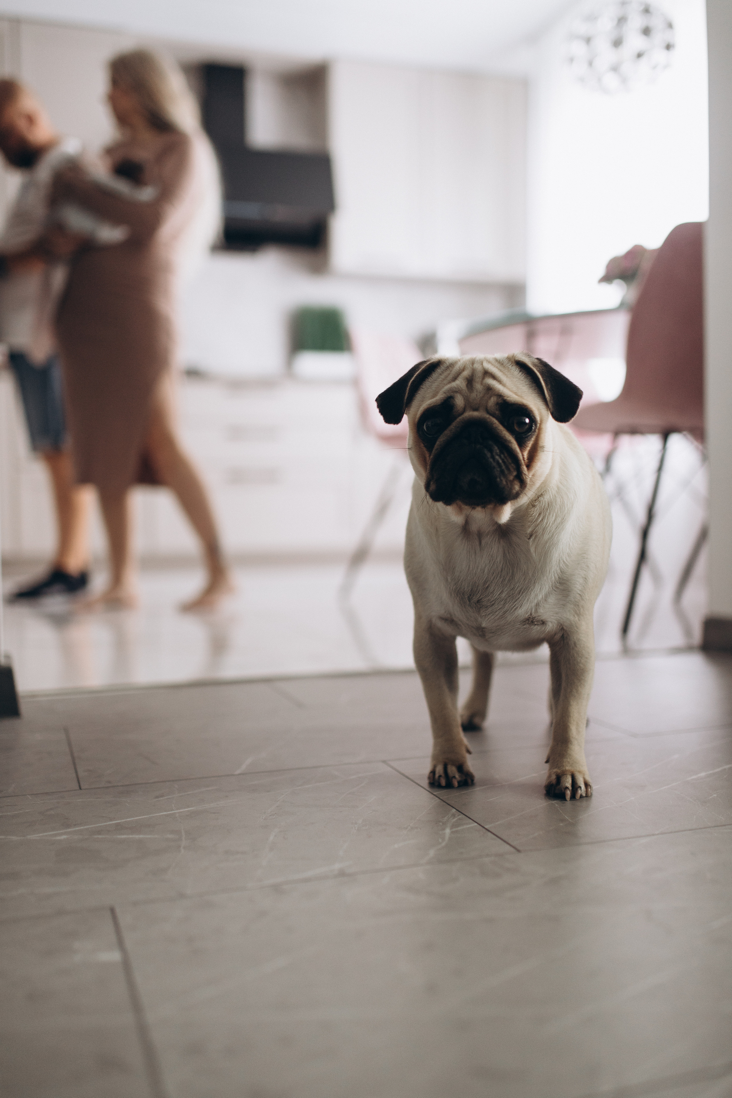 Домашняя фотосессия. Алёна Берёзка фотограф Минск