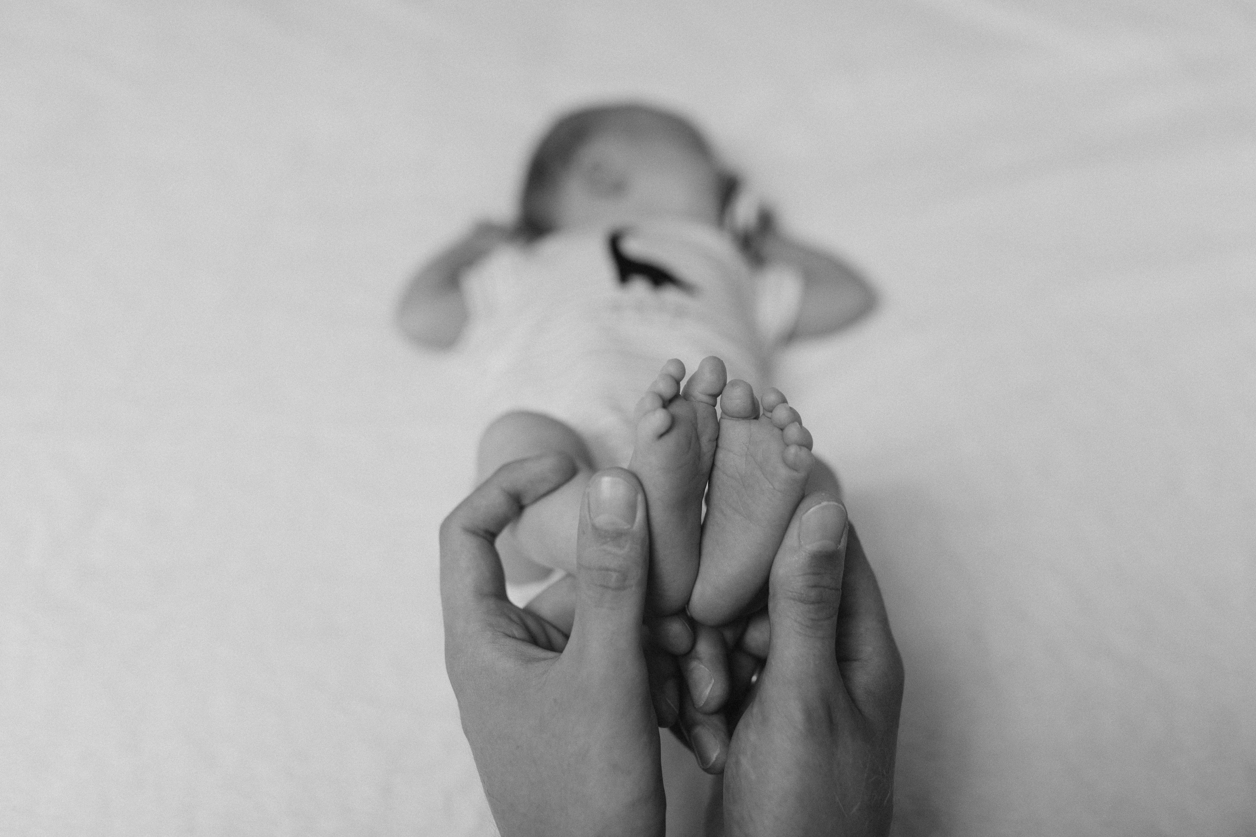 Домашняя фотосессия. Алёна Берёзка фотограф Минск