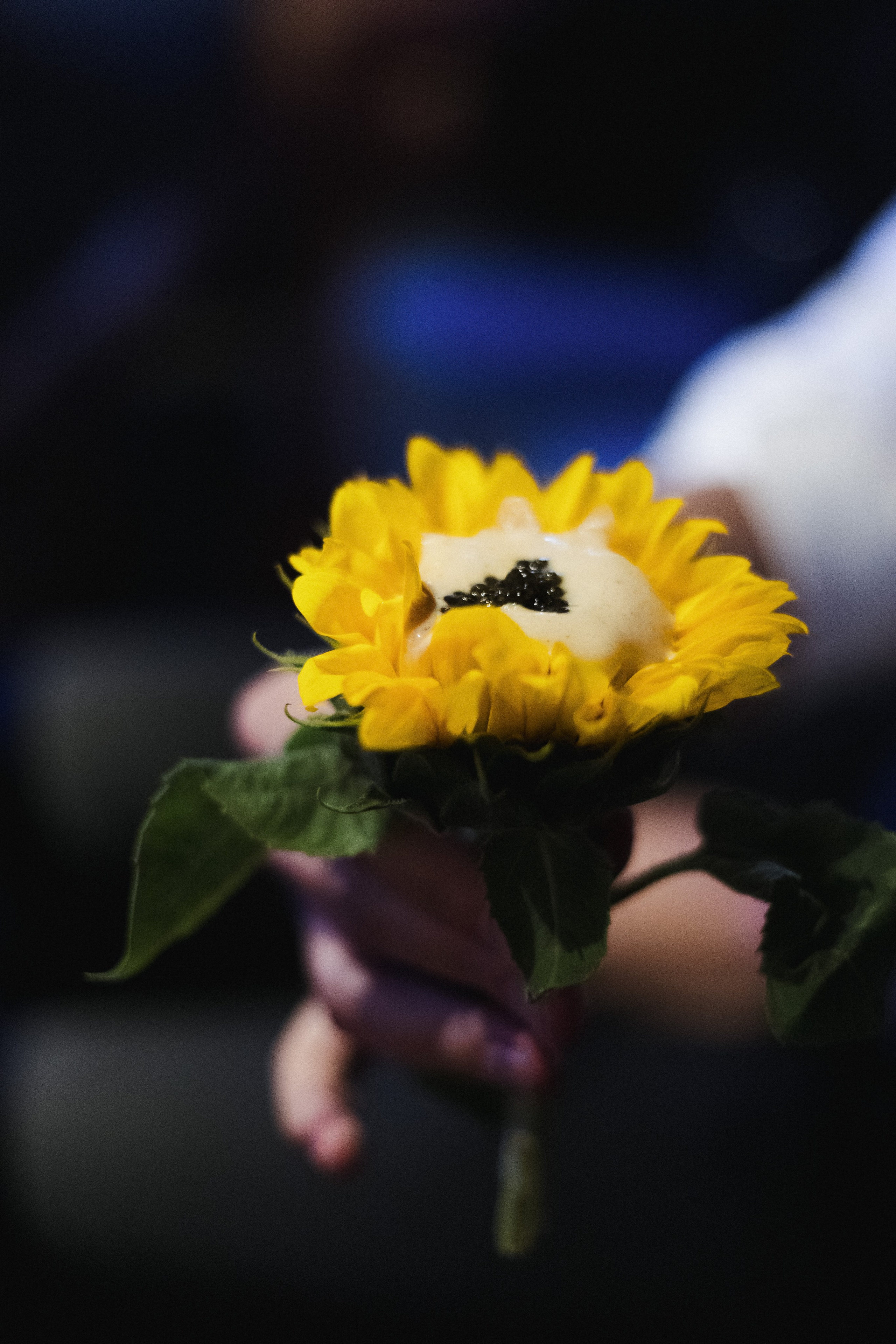 Иммерсивный ужин NATIONAL FOOD в рамках фестиваля «Кухня без границ». СВОИ. ФОТООТЧЕТЫ-СОБЫТИЯ-МЕСТА