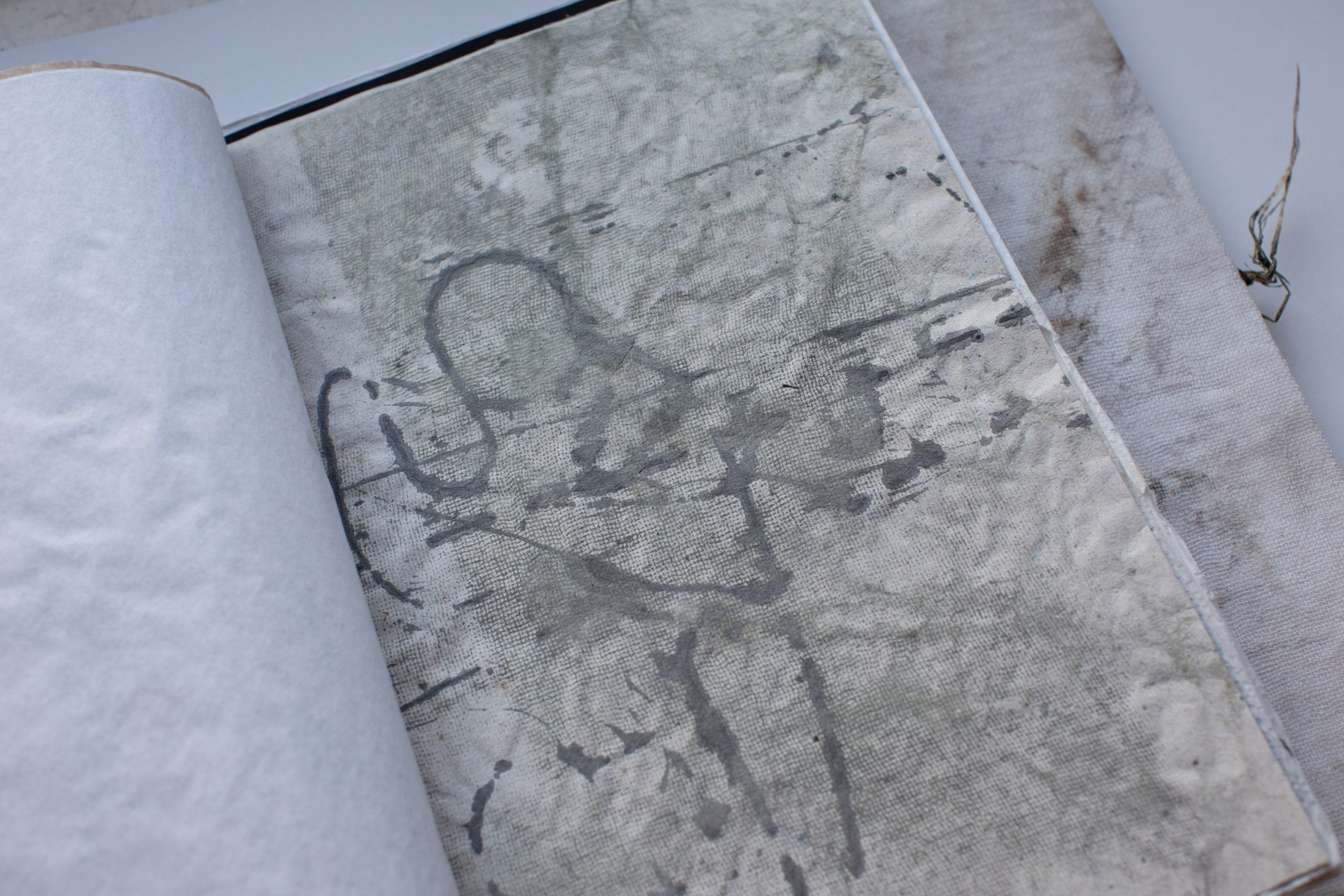 Подсосенские тетради. Natalya Madilyan