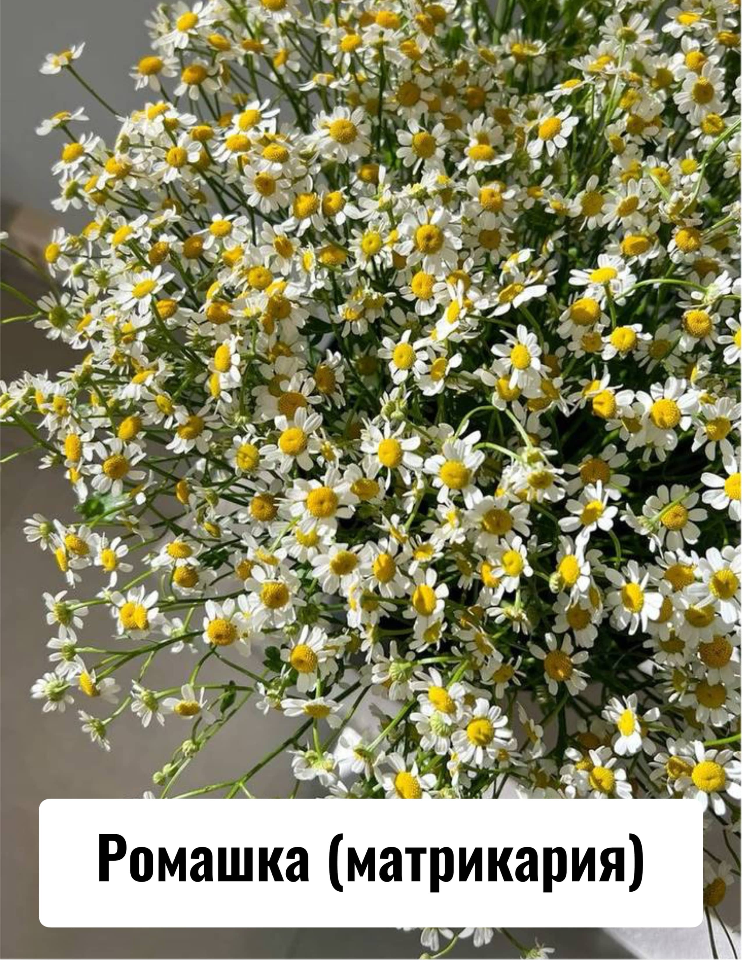 Приглашение на свадьбу