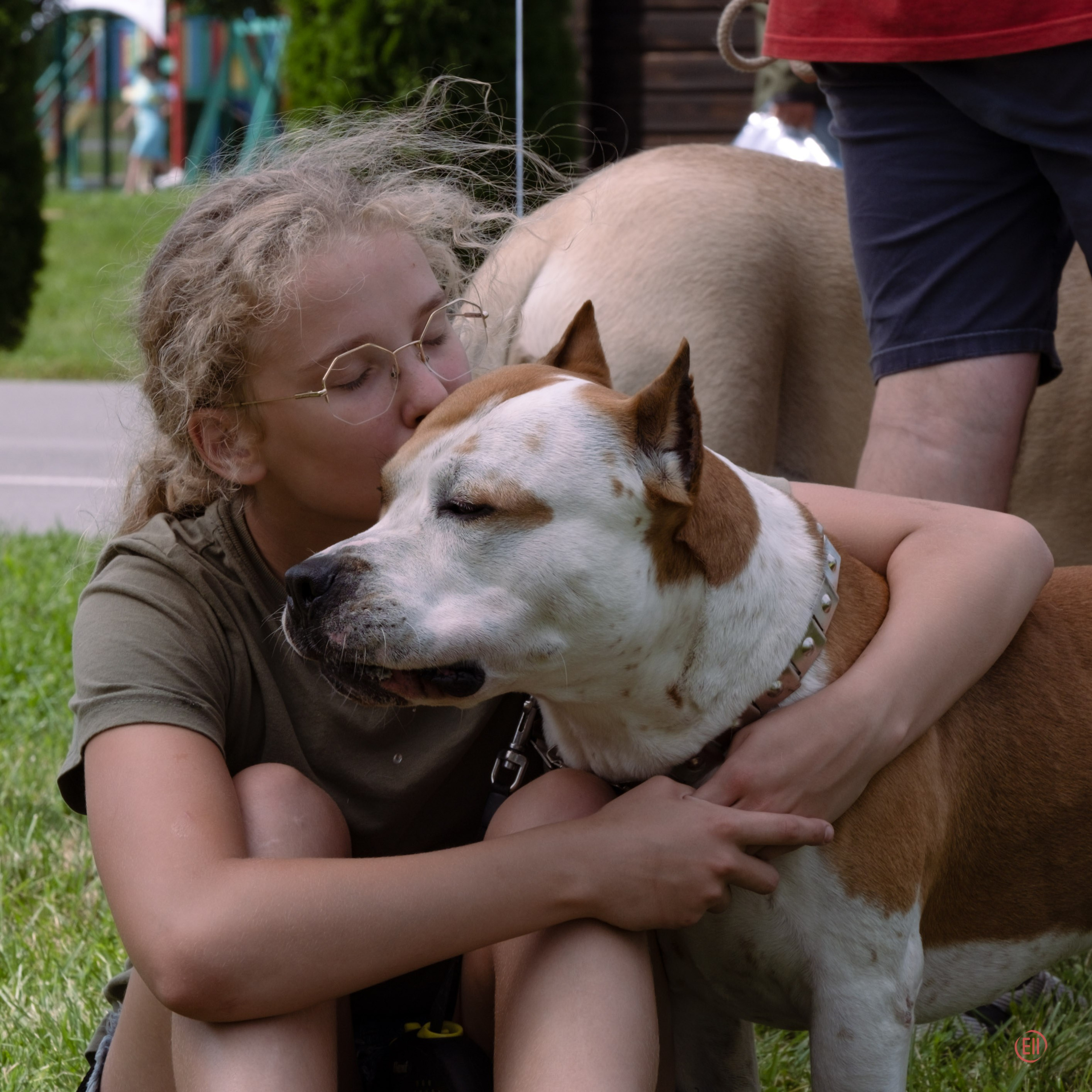 Липецк. Выставка собак. Питомник китайских хохлатых собак Poale Ell: купить щенка