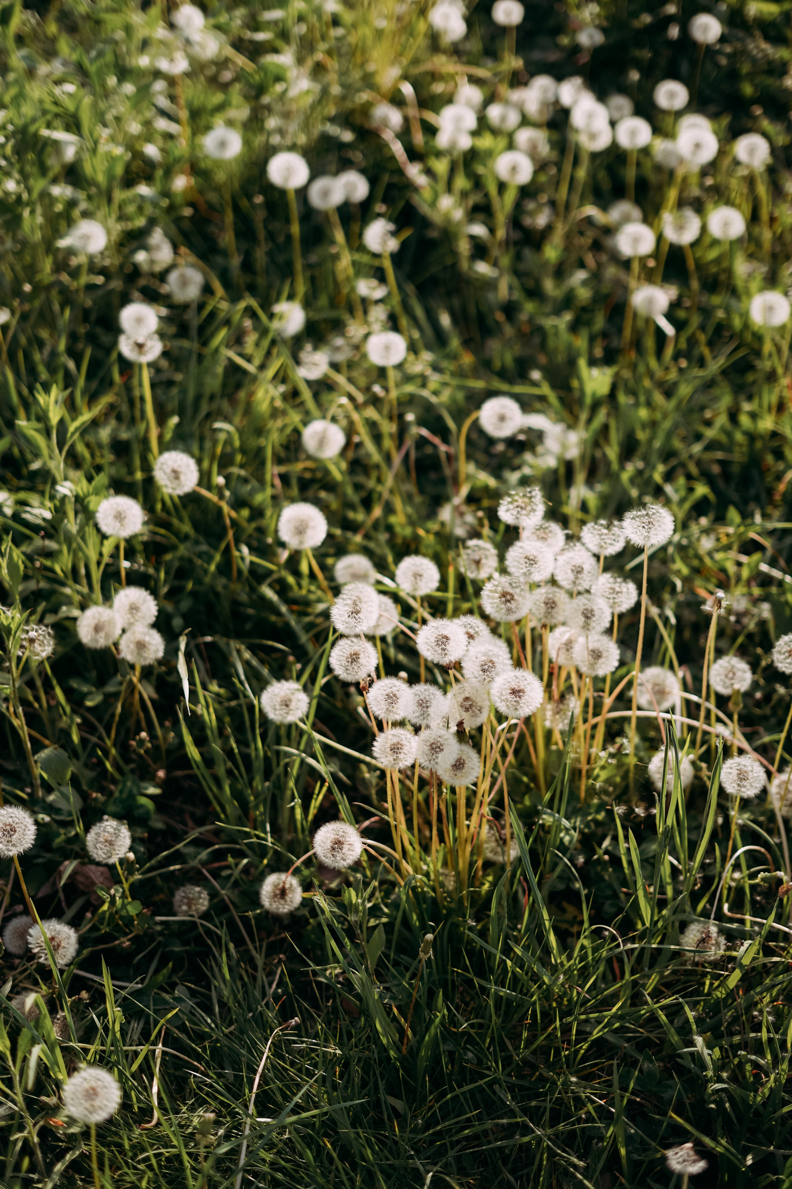 Апрель в горах. Фотосессия для Светланы в Красной Поляне. Фотограф в Сочи и Абхазии | Фототуры | September Air