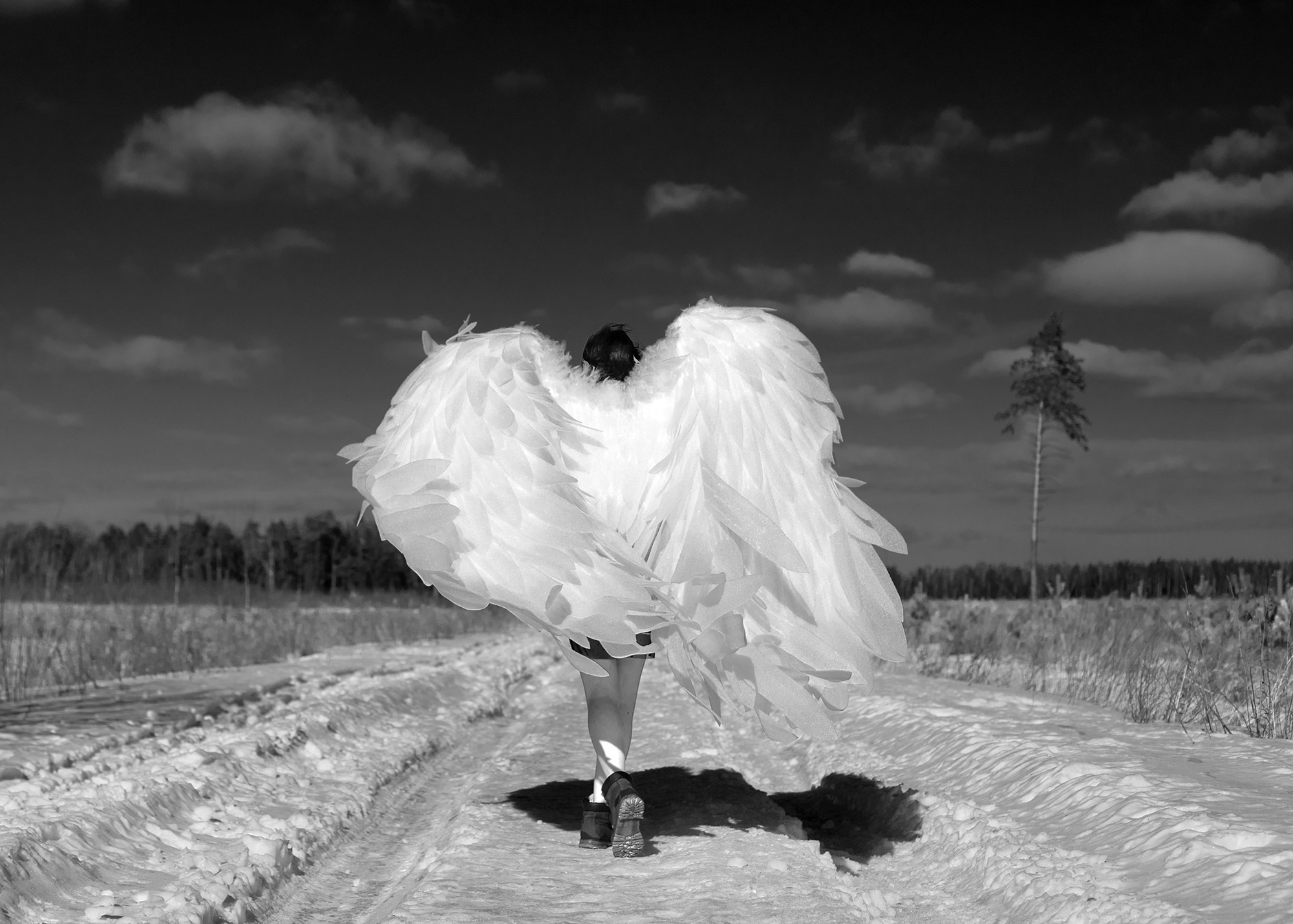 Фэнтезийные фотосессии. Необычные портретные фотосессии под ключ в Москве