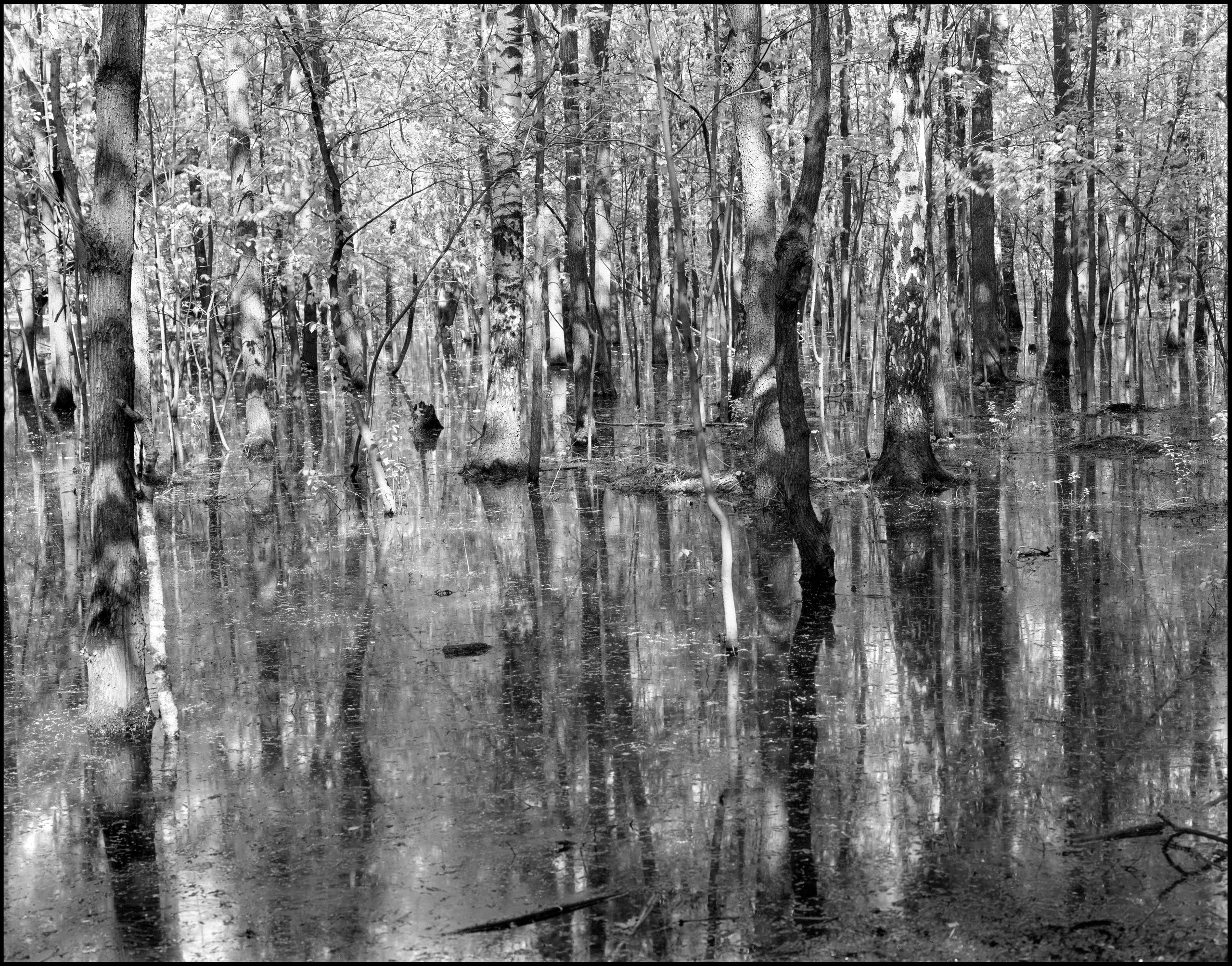 Landscape. Sergey Kondriuk art-photographer | artist