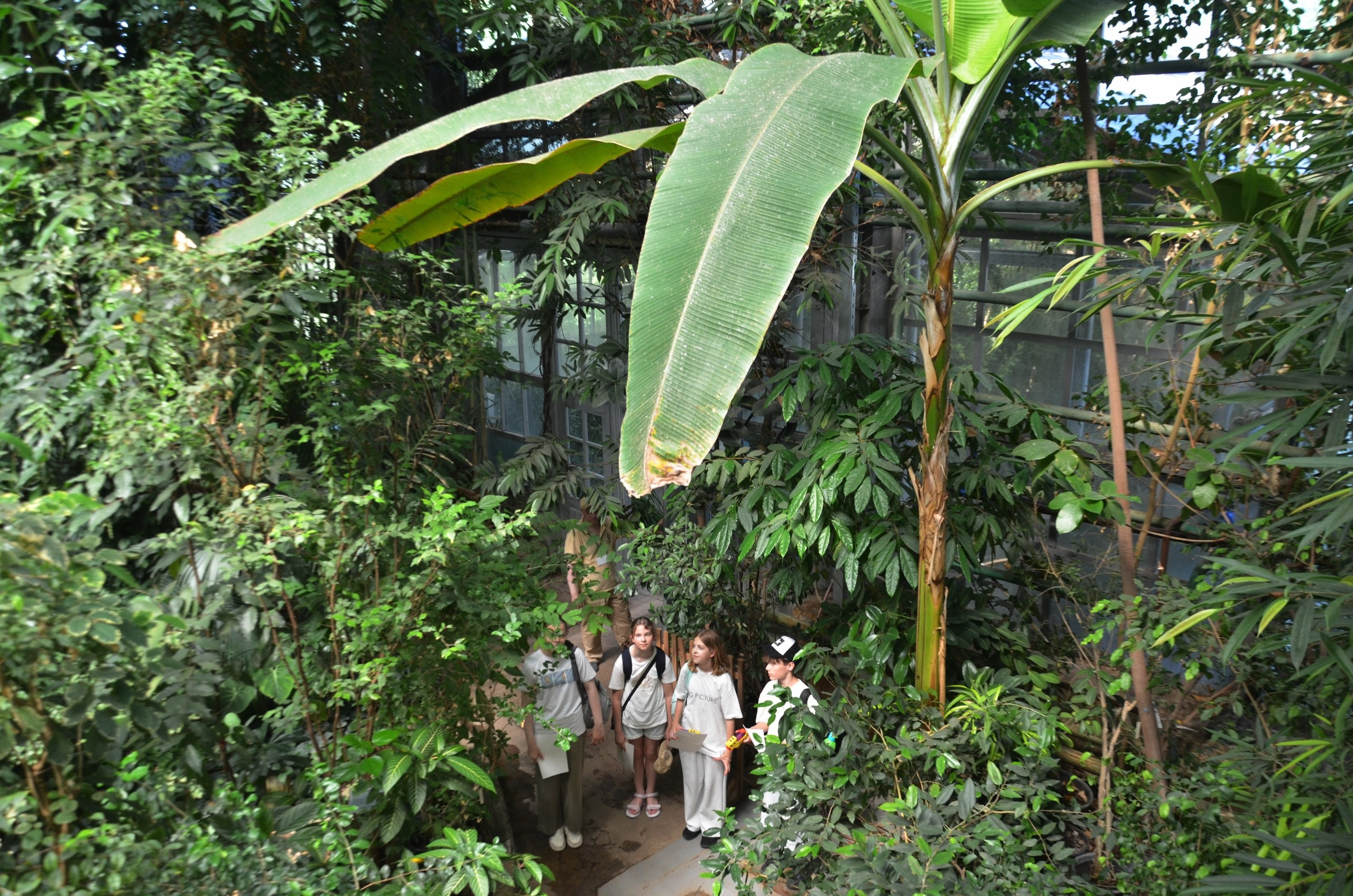 Пленэры на ВДНХ. Изостудия «Мы рисуем!» ♥ Южное Бутово, Москва