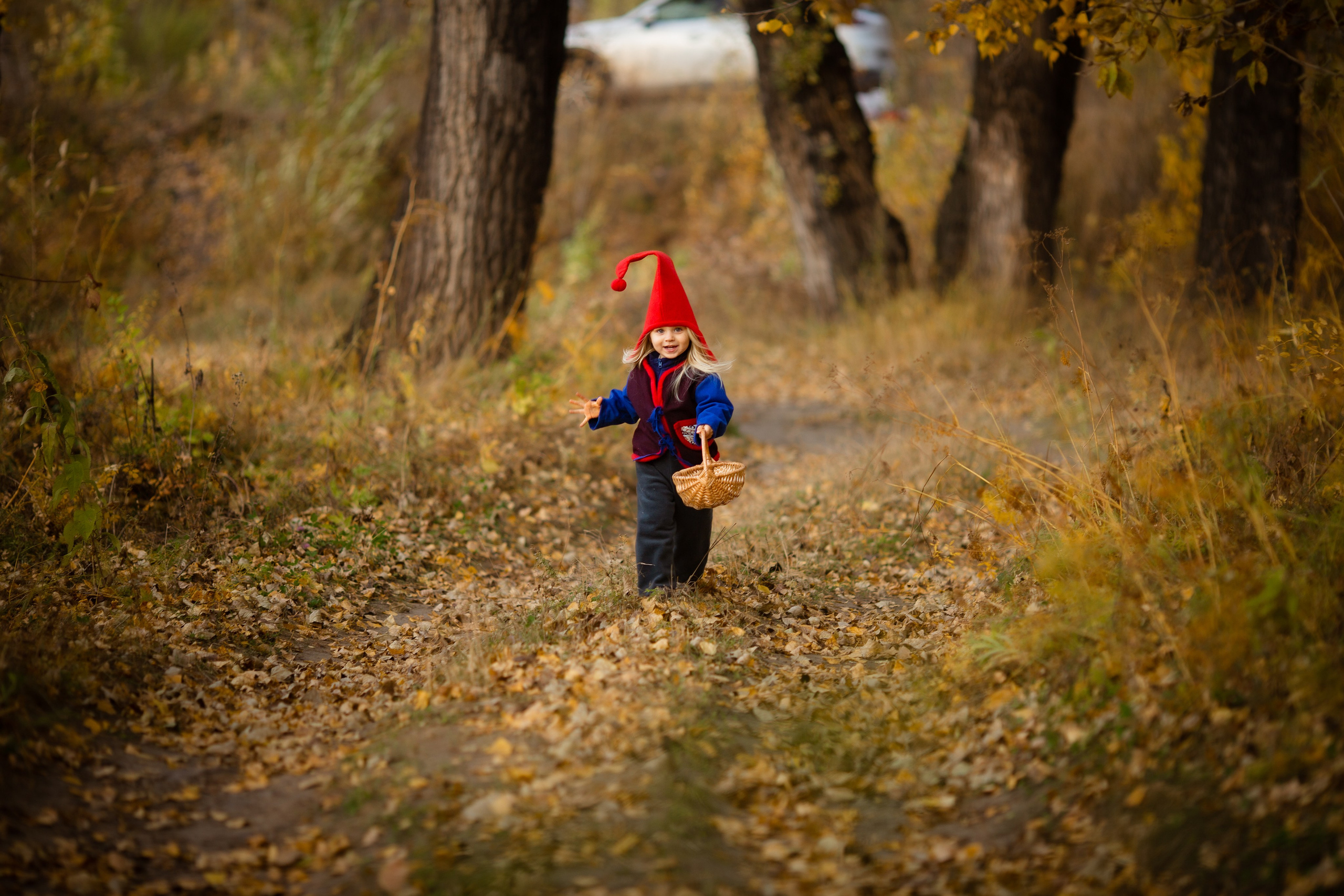 Лесные гномы