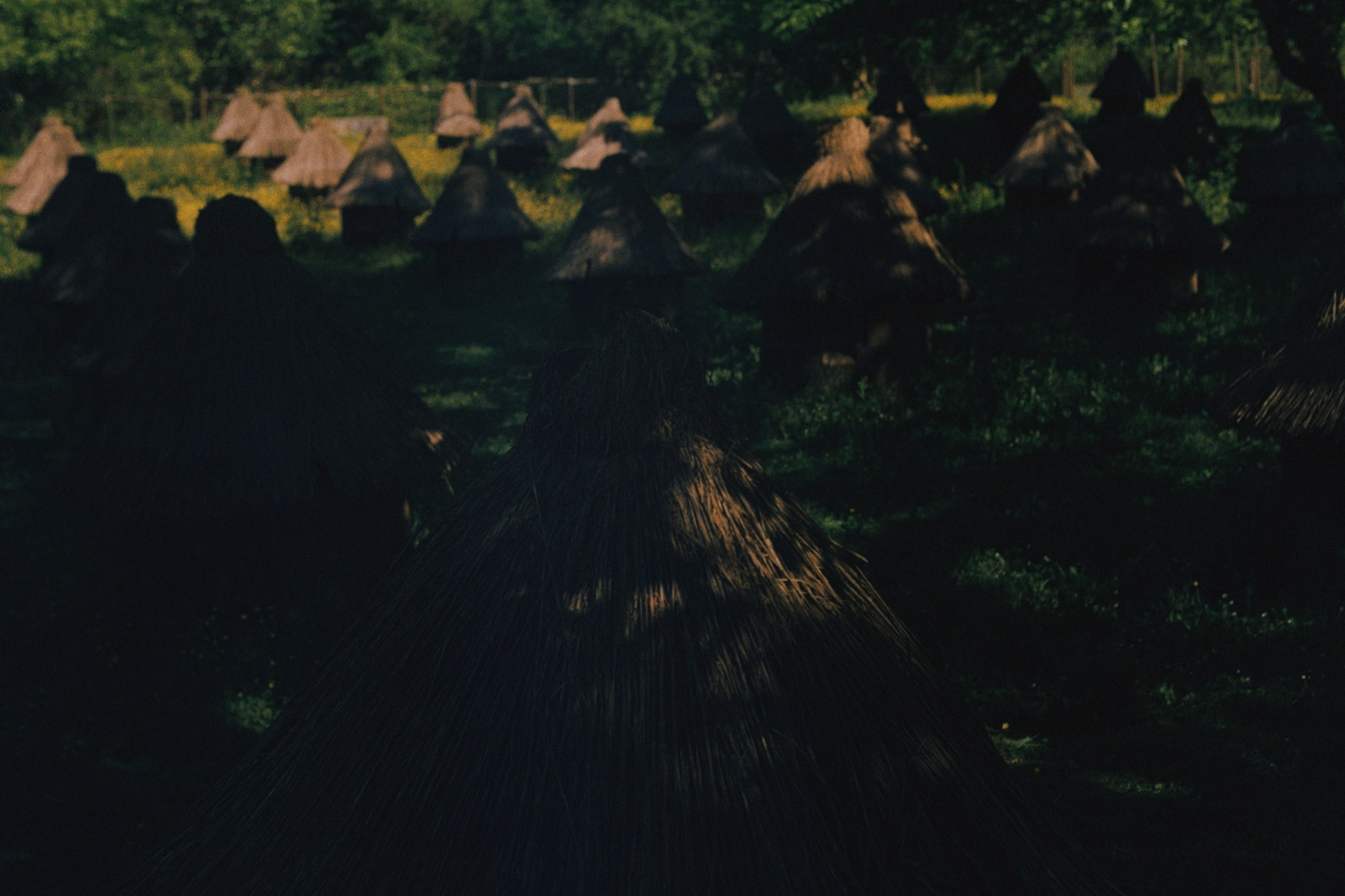 Abkhazia \ may 2023 \ film. Коммерческий Фотограф Виктор Фоменых