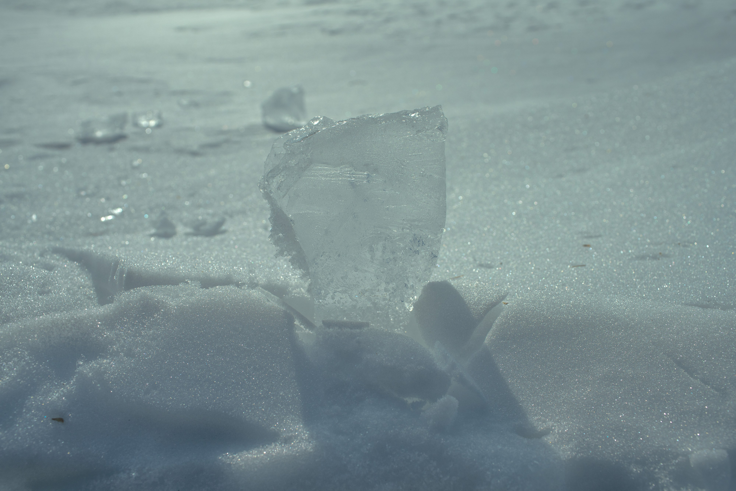 Фотопроект о семейной памяти и травме. Vasily Pindyurin visual artist