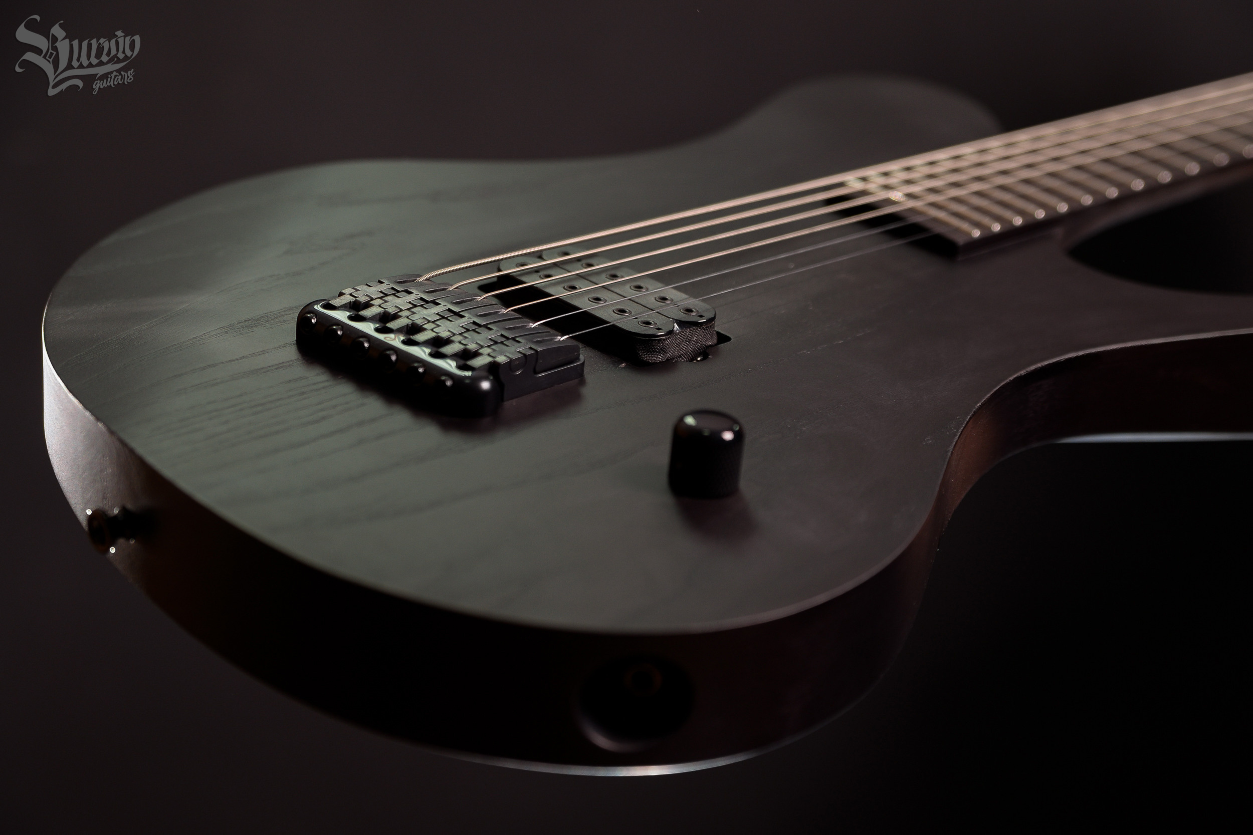 Master of making guitars and basses to order