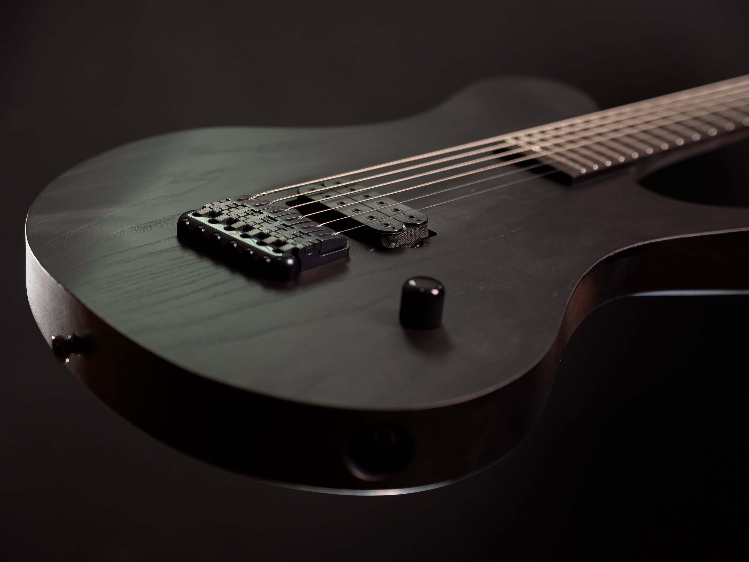 009 Zlaya Sobaka. Master of making guitars and basses to order