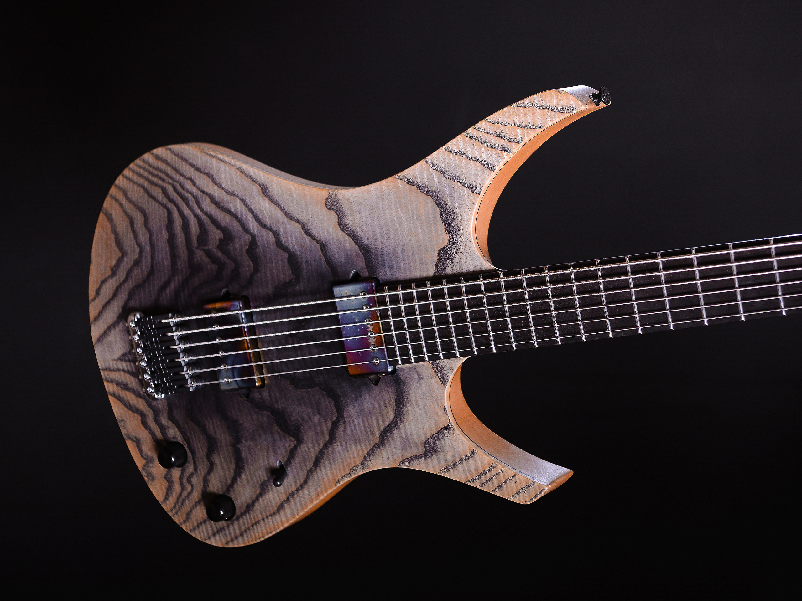 Master of making guitars and basses to order