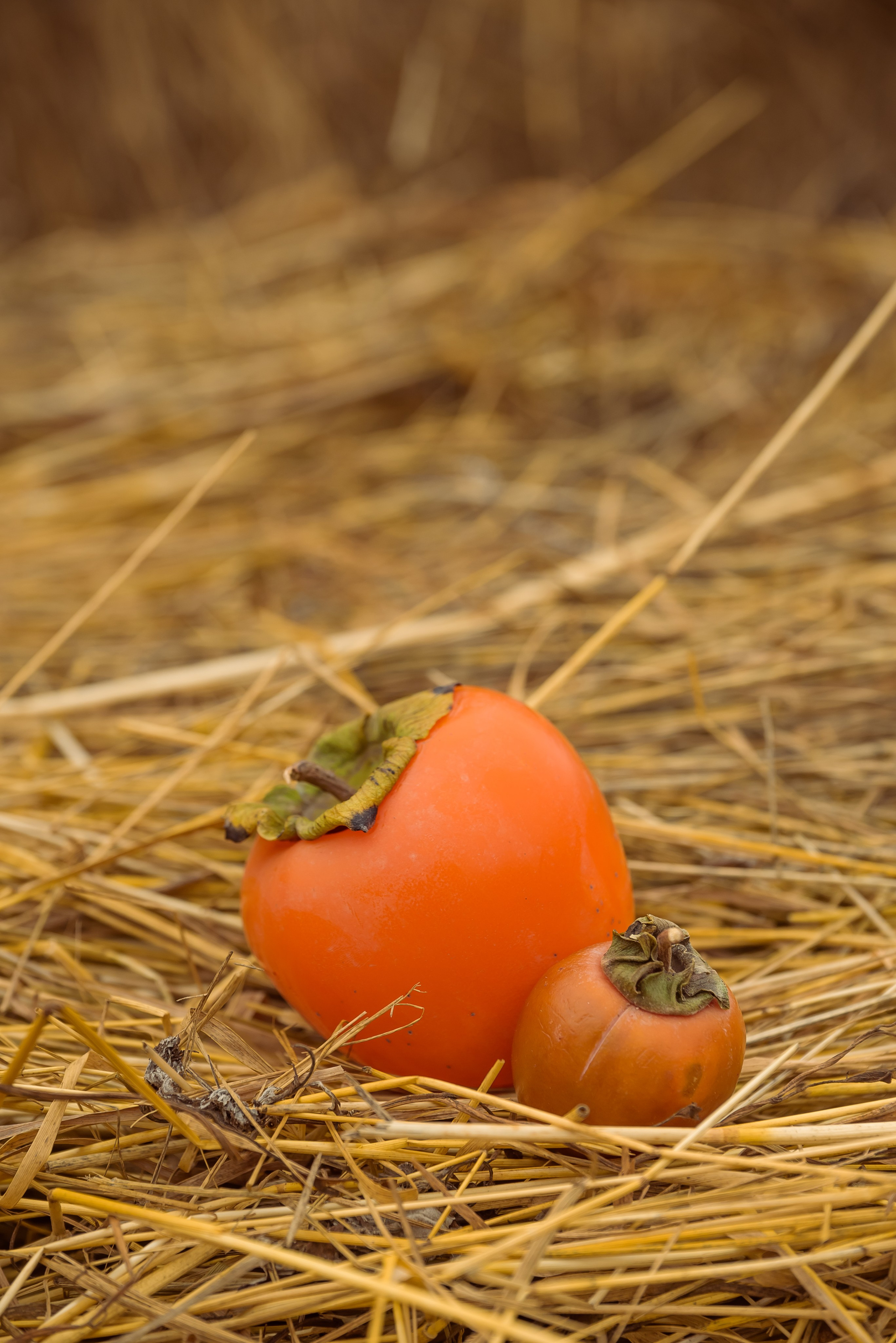 Контент-фотосессия для фотографа. Фотограф Ирина Богатырева
