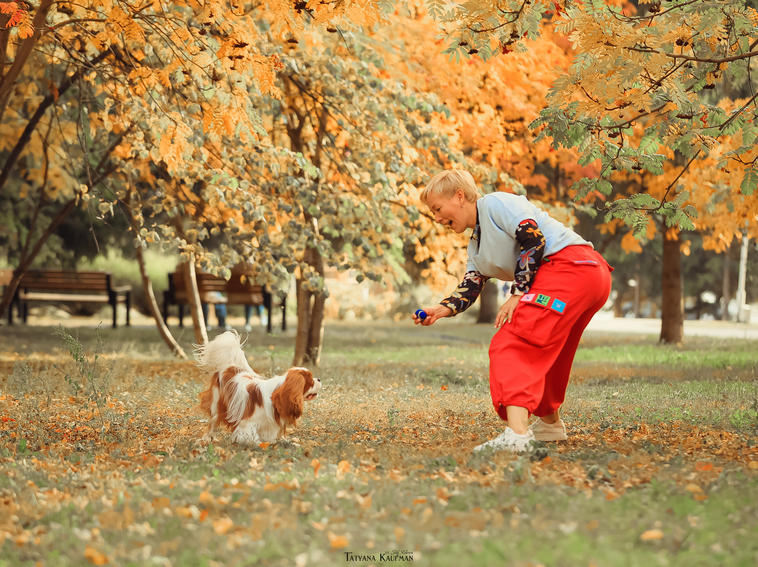 Осенние Корги и Кавалер. Фотограф Анималист из Новосибирска Татьяна Кауфман