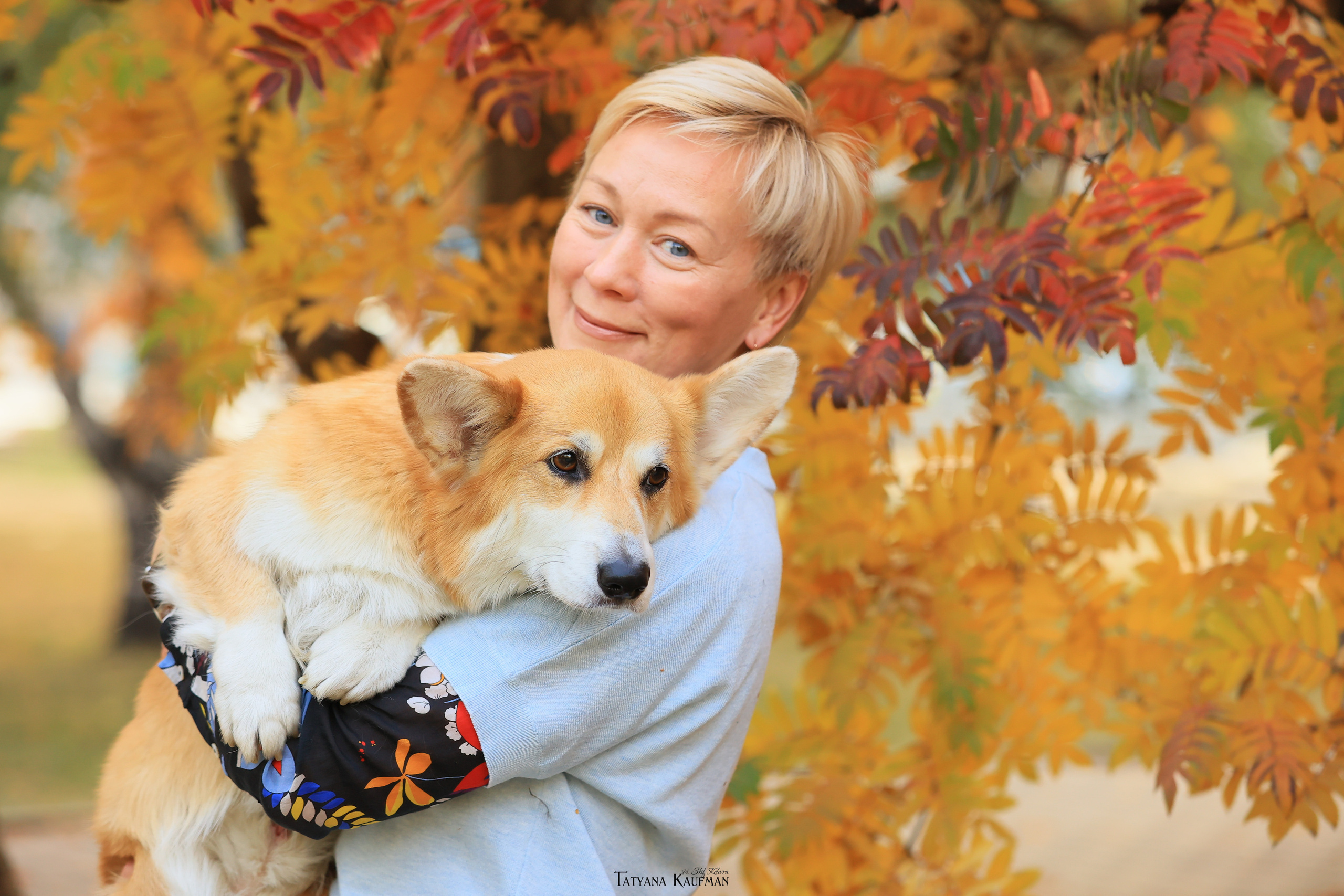 Осенние Корги и Кавалер. Фотограф Анималист из Новосибирска Татьяна Кауфман