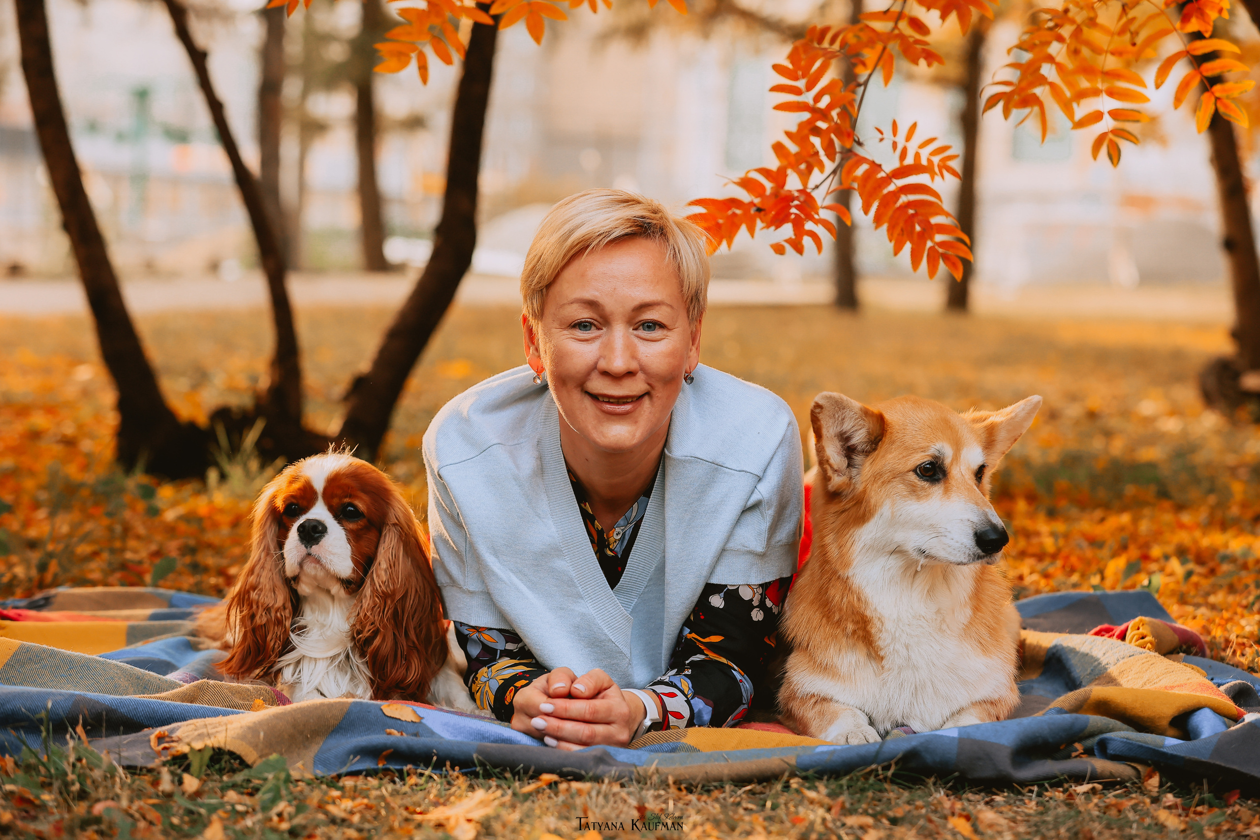 Осенние Корги и Кавалер. Фотограф Анималист из Новосибирска Татьяна Кауфман