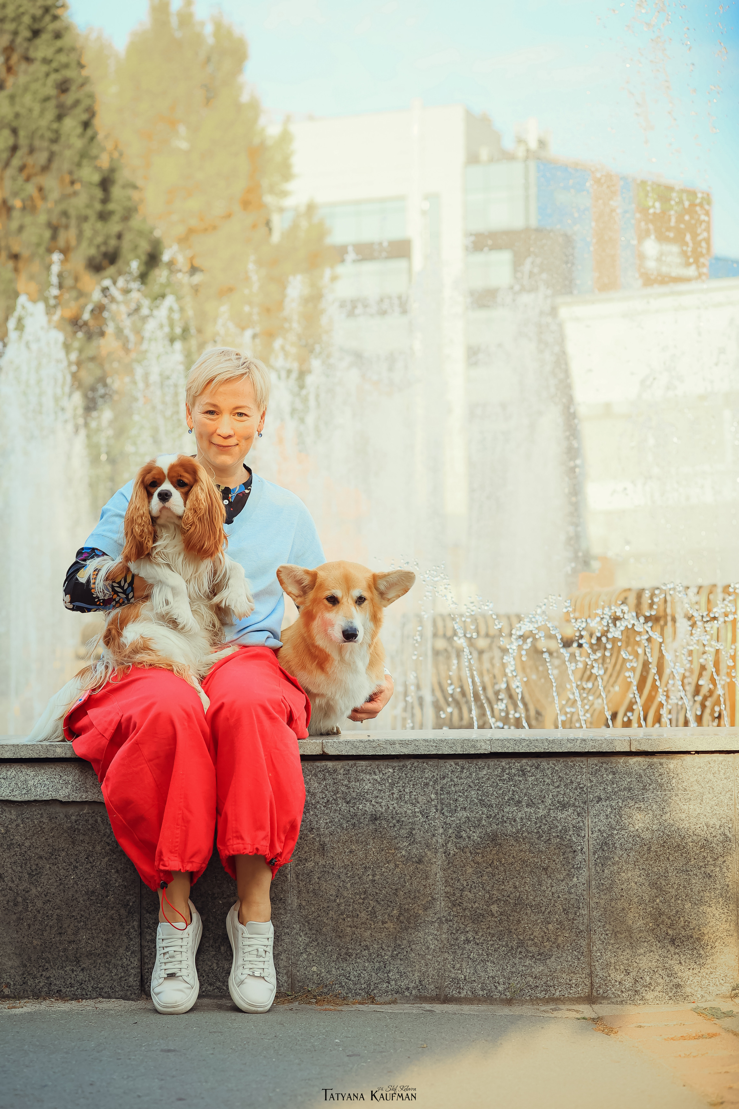 Осенние Корги и Кавалер. Фотограф Анималист из Новосибирска Татьяна Кауфман