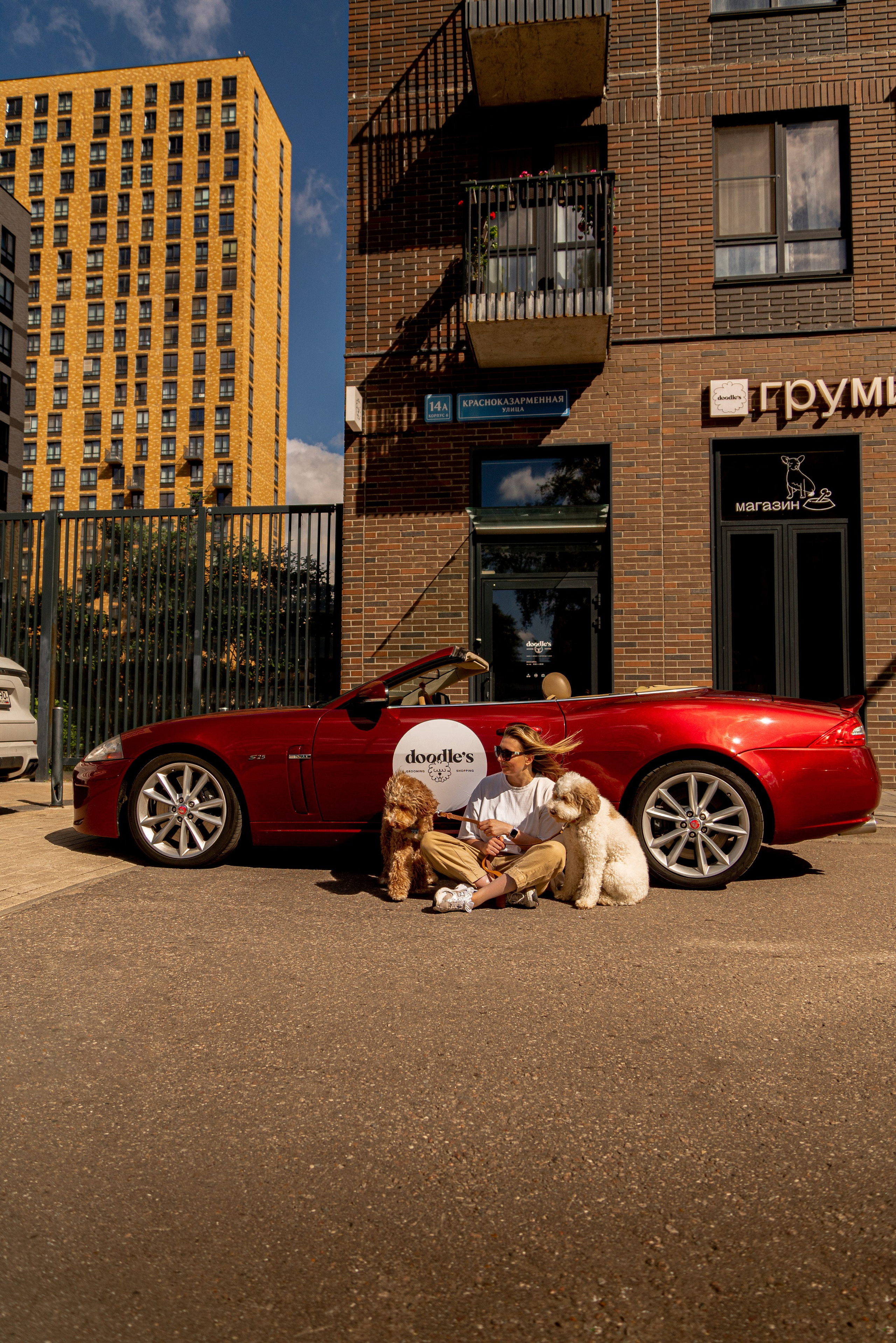 Фотосъемка груминг салона , съемка собак в кабриолете. Жуков Илья свадебный фотограф в Москве