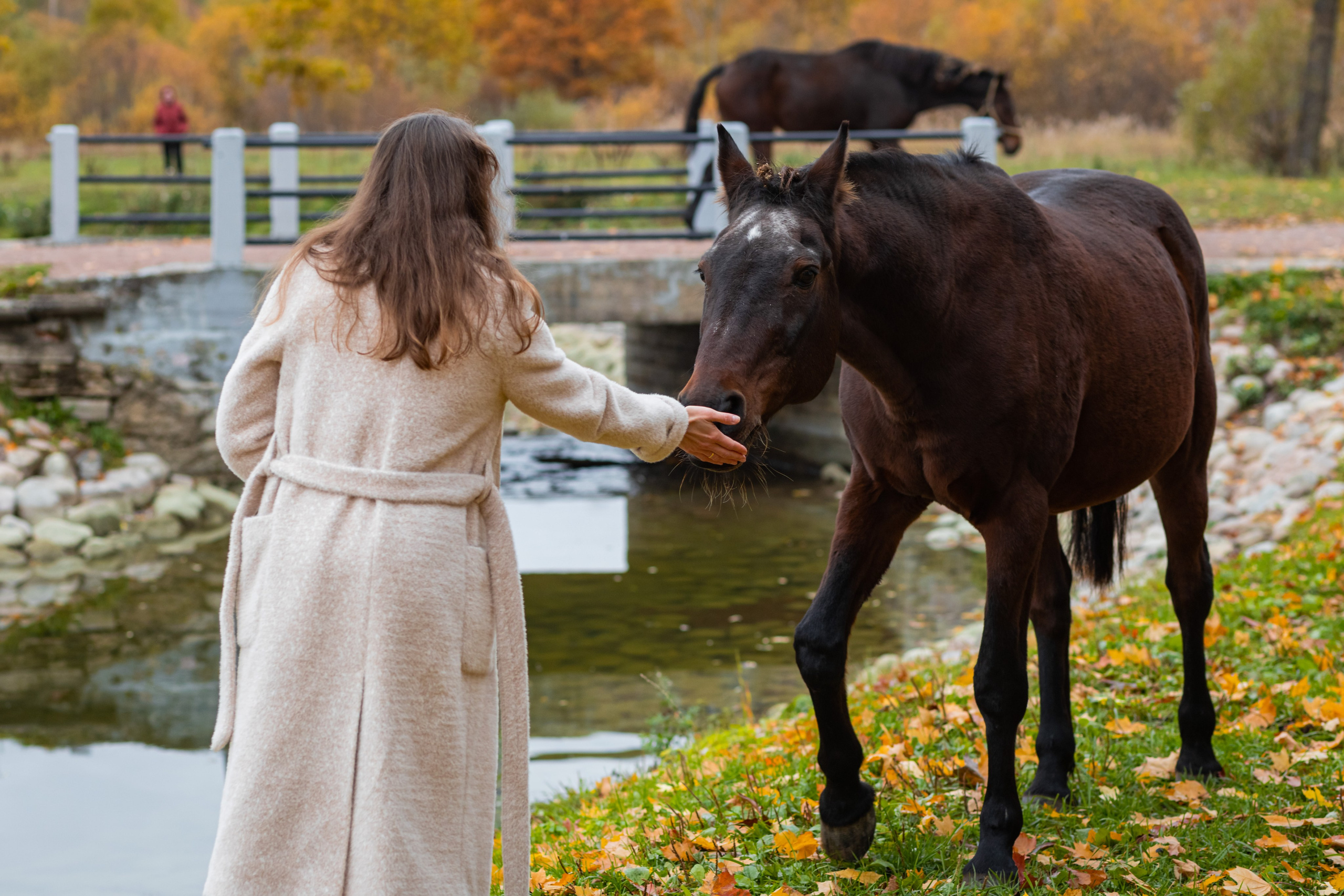 Осеняя фотосессия в Петергофе