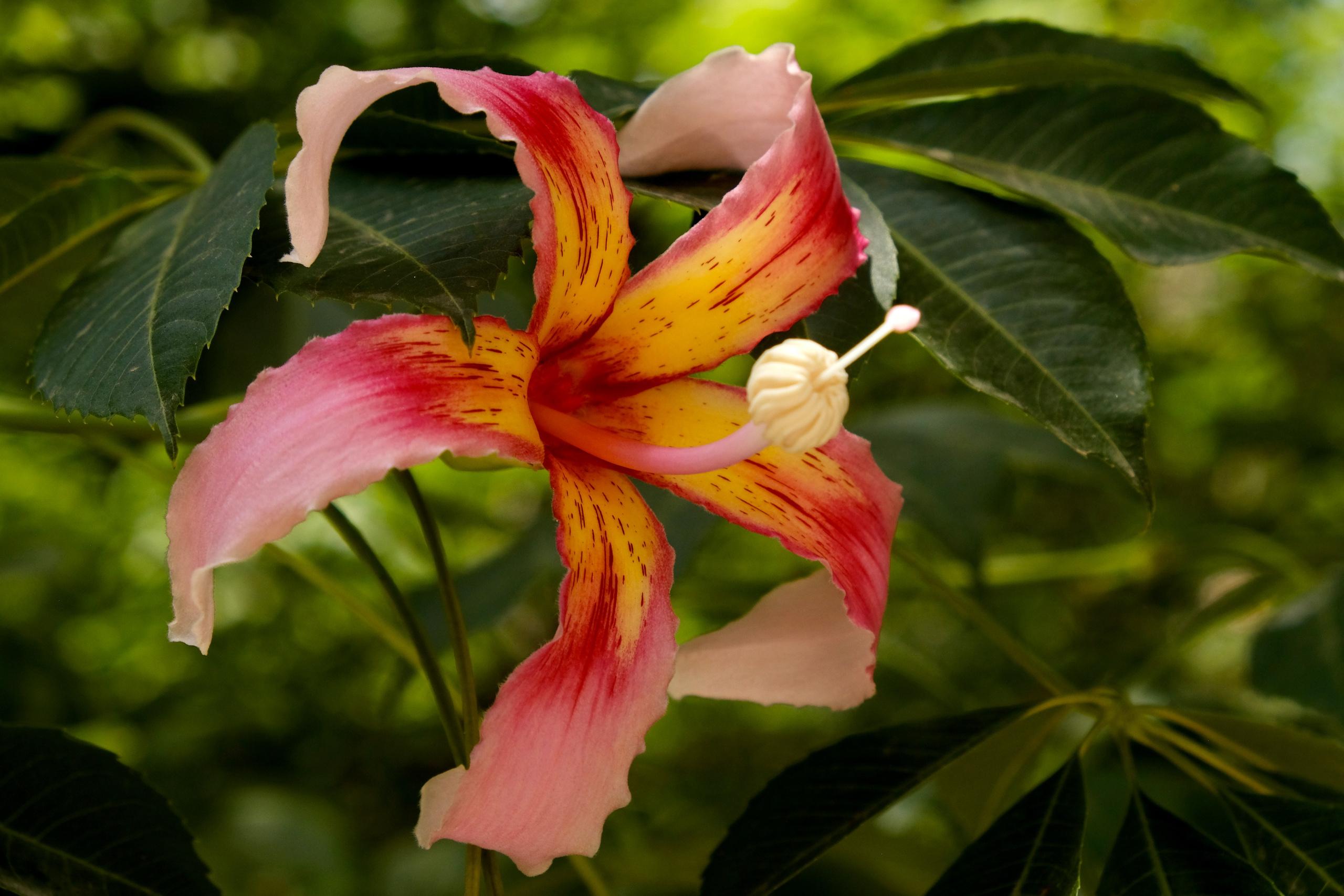 Перспектива и дальние планы на фотографии. Гид и фотограф в Валенсии Новиков Михаил