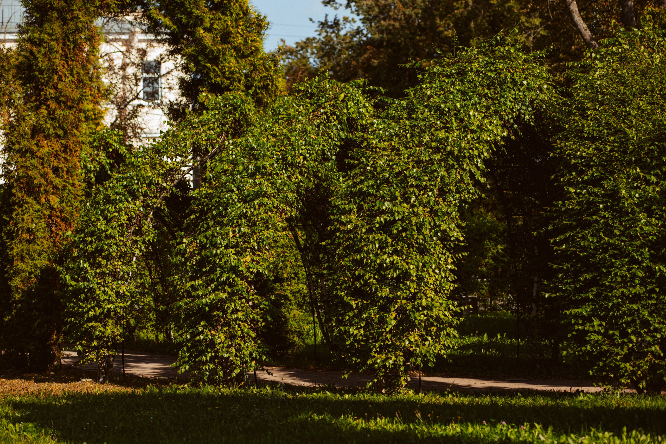 ФОТОСЕССИЯ В ПЕТЕРГОФЕ. ГДЕ СНИМАТЬ В ПЕТЕРГОФЕ