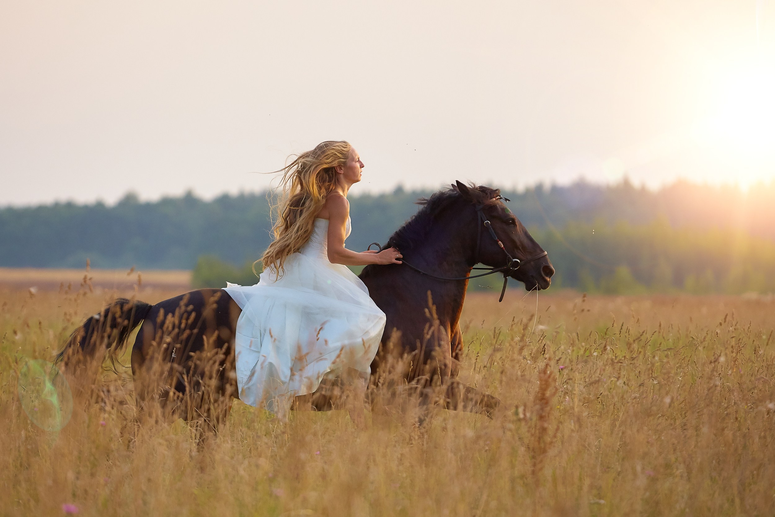 Фотосессия с лошадьми Фотограф Михаил Семенов, г. Ярославль