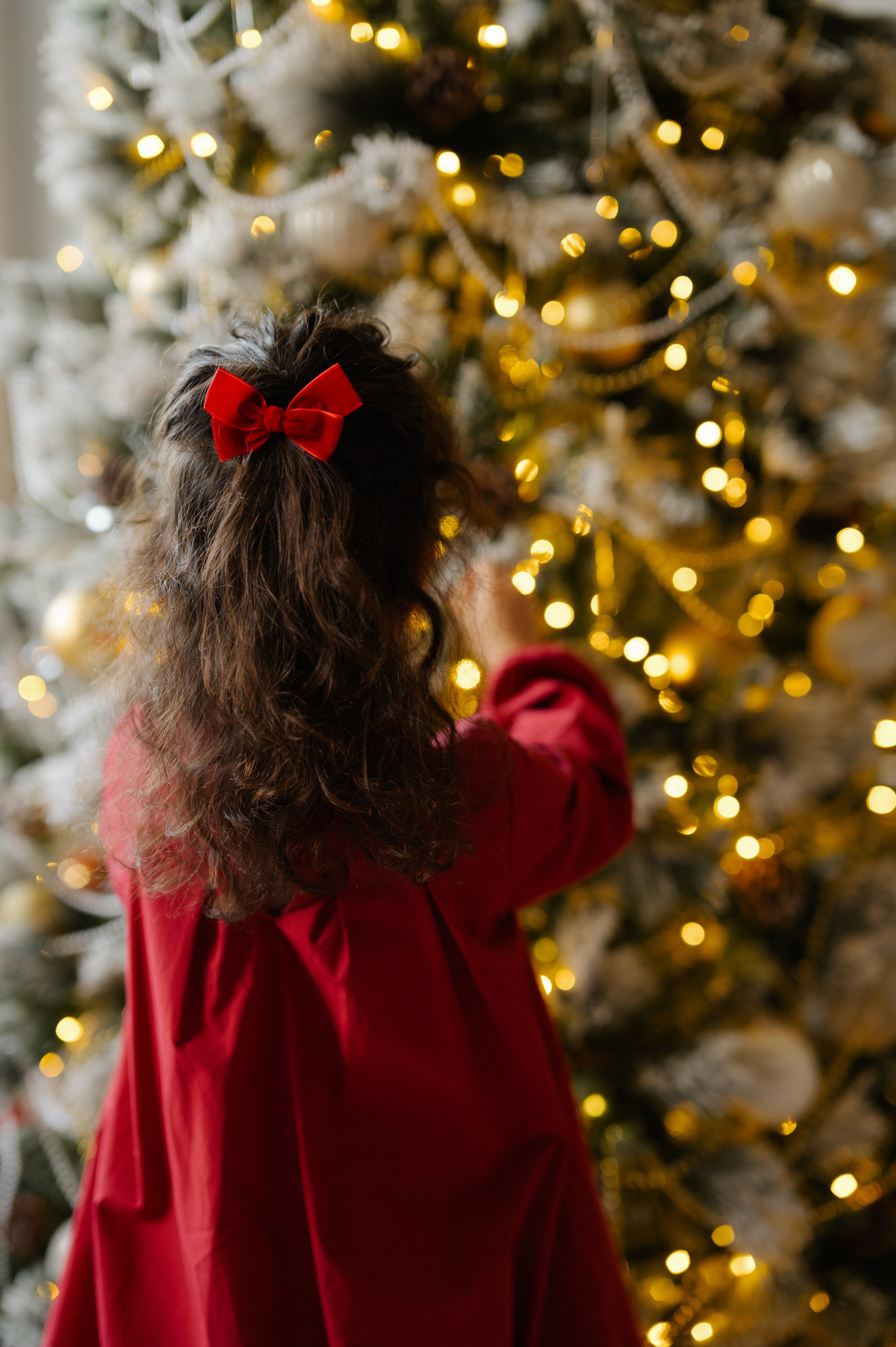 Стоимость услуг. Свадебный и семейный фотограф Светлана Матвеенко